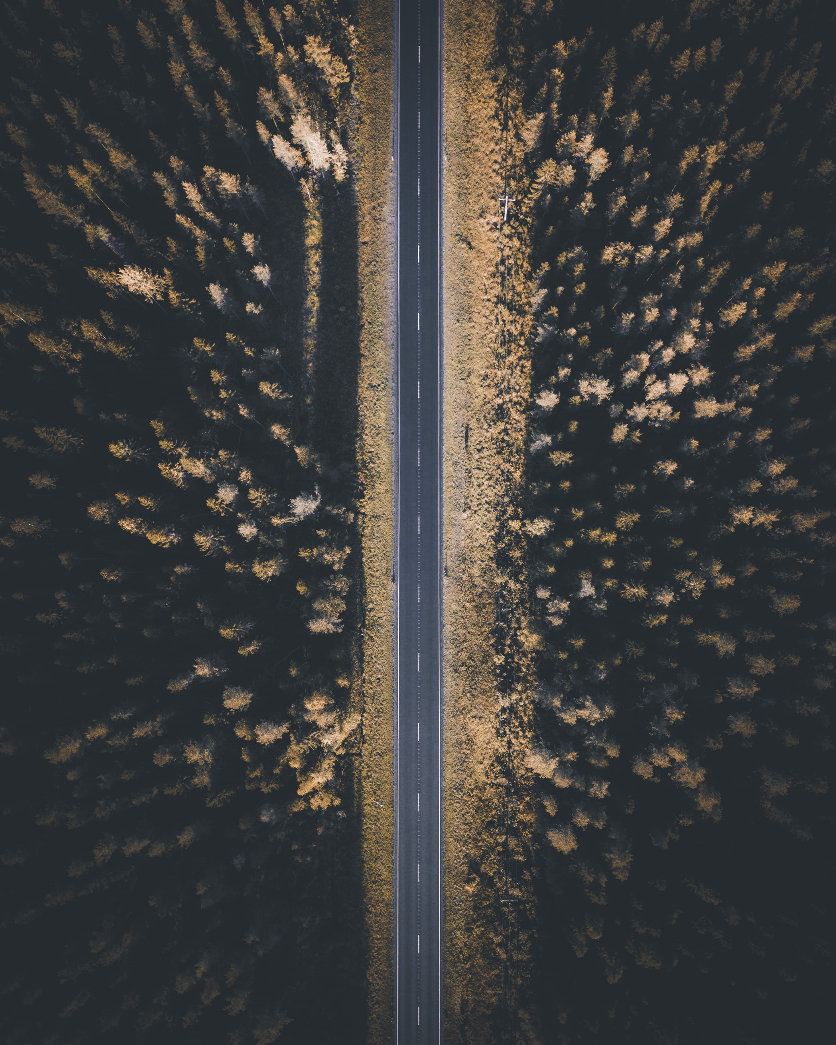 reflection, backgrounds, window, road drive, no People, open road, carretera, plano cenital, symmetry, drone, árbol, weather, wildroad, forest, close-up, Phone HD Wallpaper