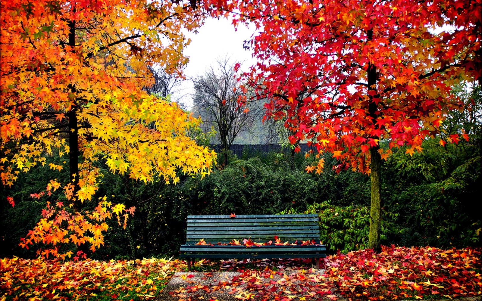 banco, parque, naturaleza, paisaje, hojas, 720P, HD Wallpaper