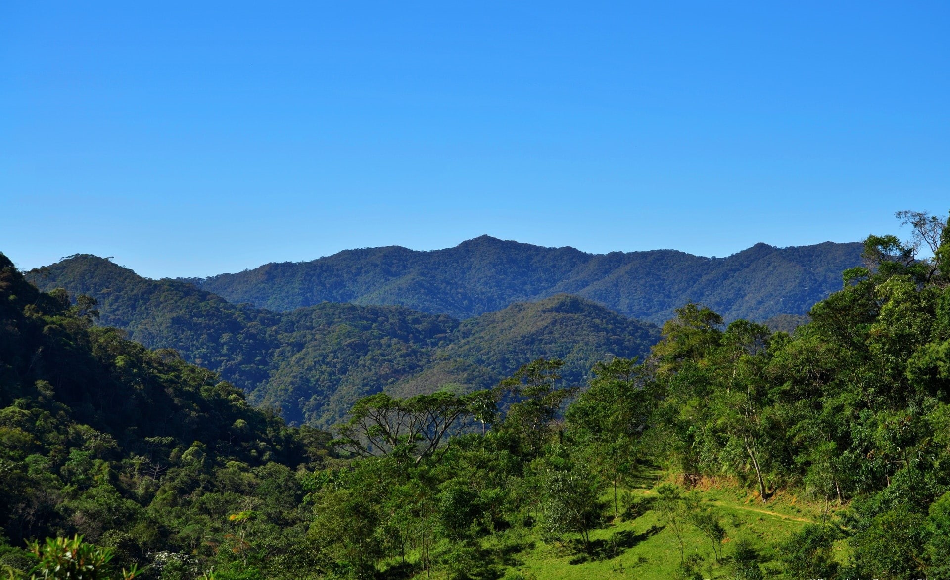 landscape, no people, tree, mountain, green color, brazil, scenics - nature, trees, day, non-urban scene, brasil, environment, forest, Nature, green, plant, HD Wallpaper