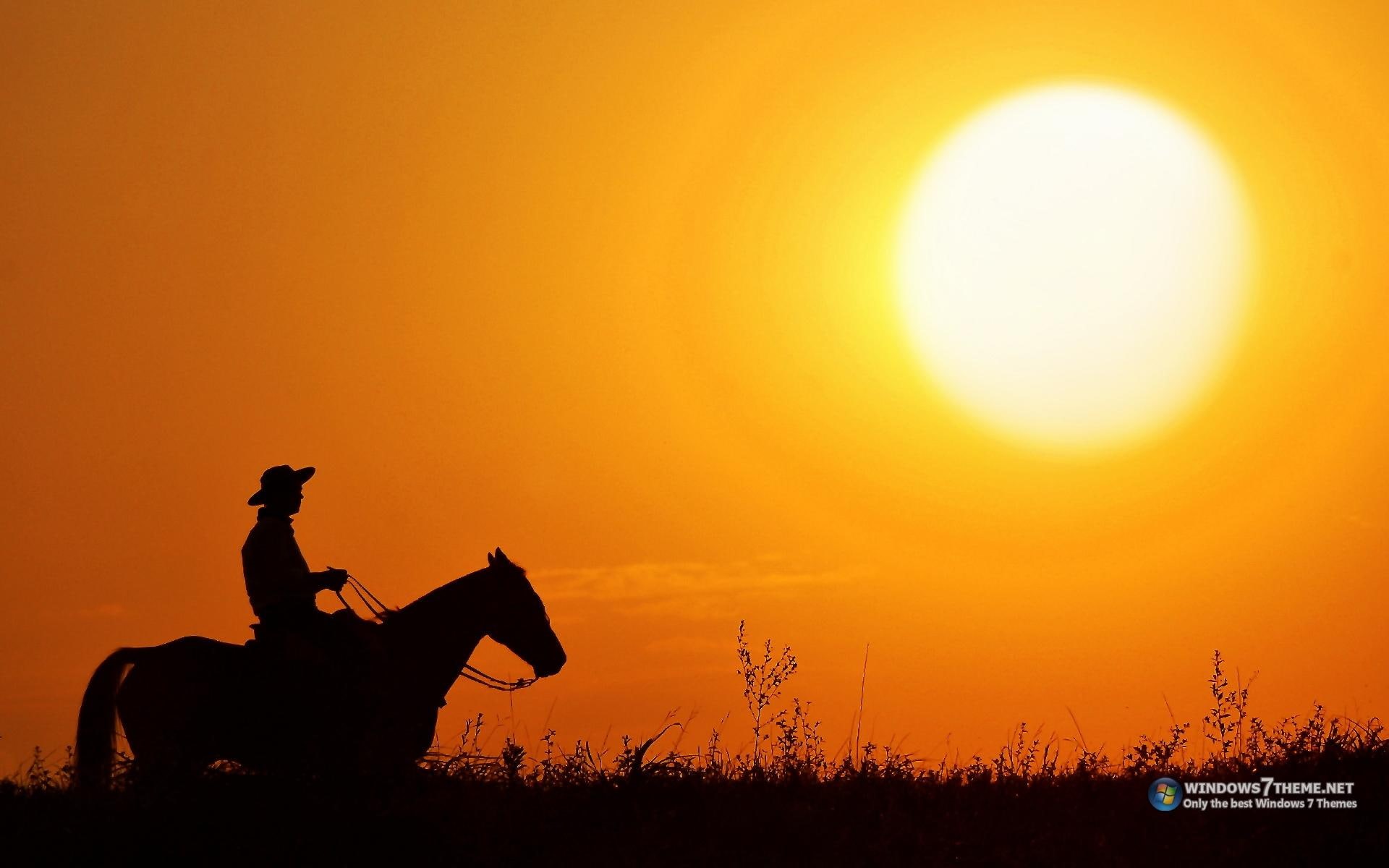 homem, cavalo, sol, natureza, 1080P, beleza, nature and landscapes, por, belo, HD Wallpaper