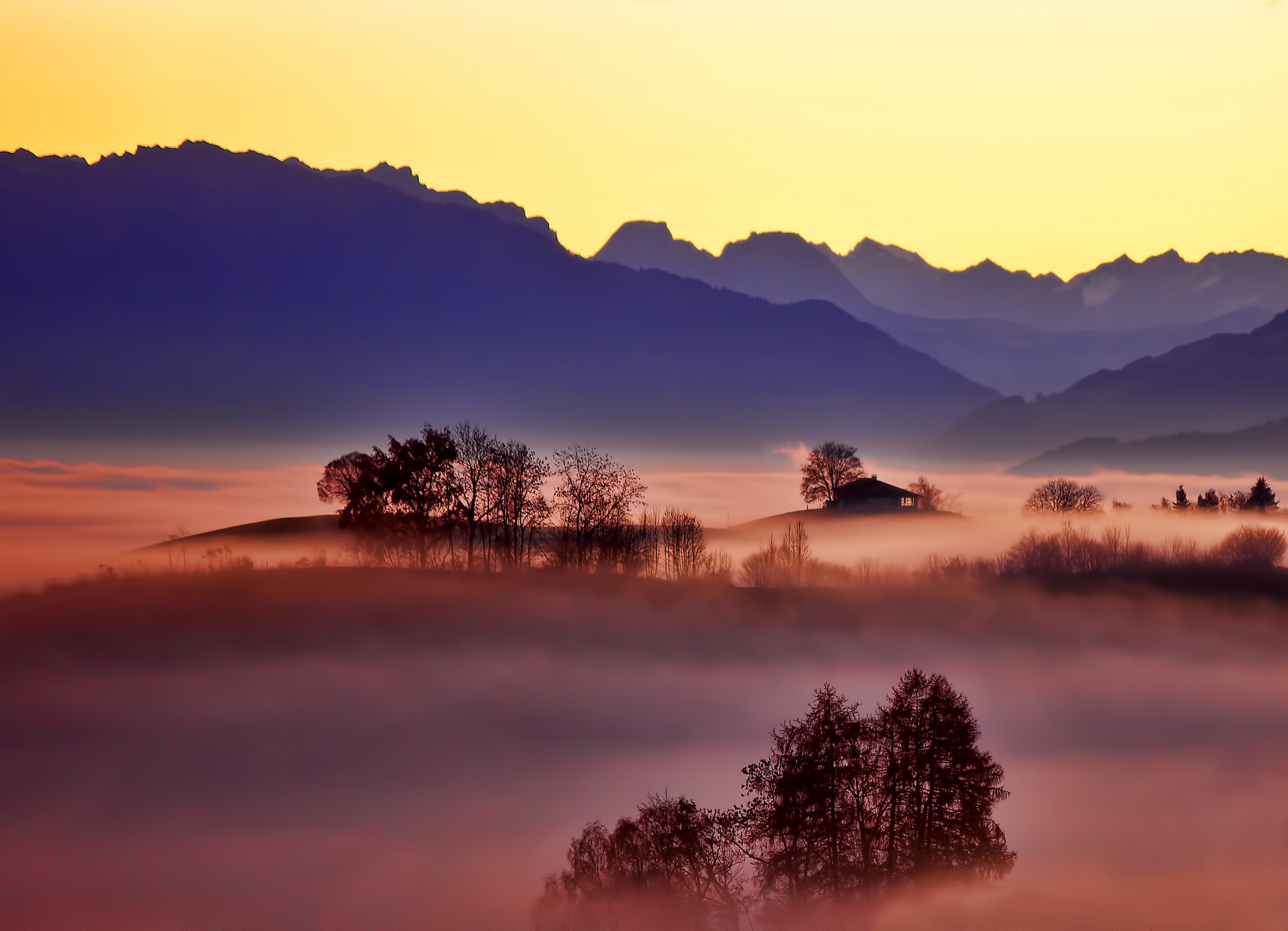 tranquil Scene, silhouette, fogs, dawn, outdoors, Autumn colors, tranquility, no People, hazy, color Image, tree, hill, mist, foggy, growth, photo, forest, HD Wallpaper