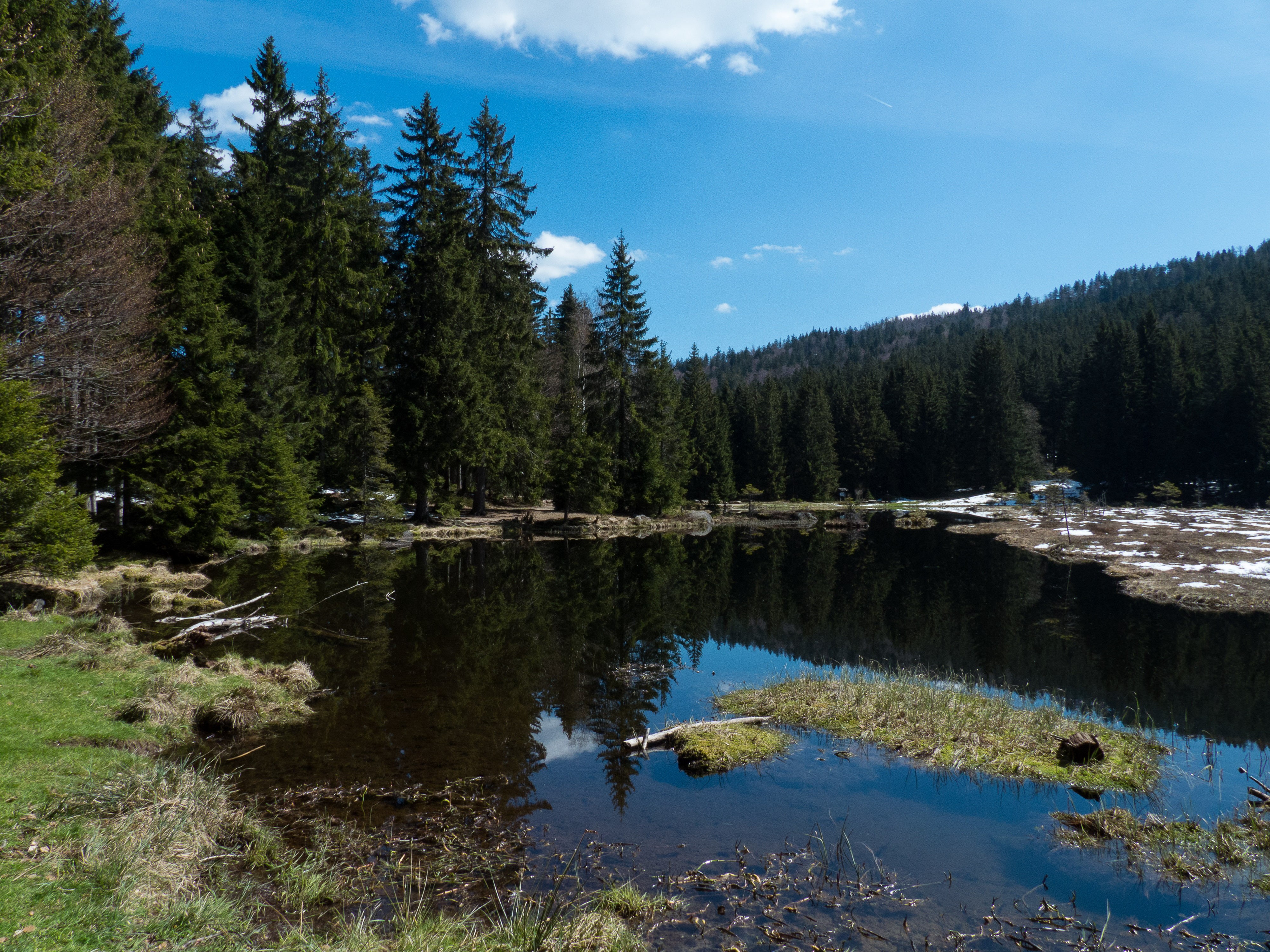beauty In Nature, Bayerischer Wald, Germany, blue, daytime, Lenz, arbre, canada, body of water, geotagged, Flora, Bayern, primavera, albero, plant, eau, HD Wallpaper