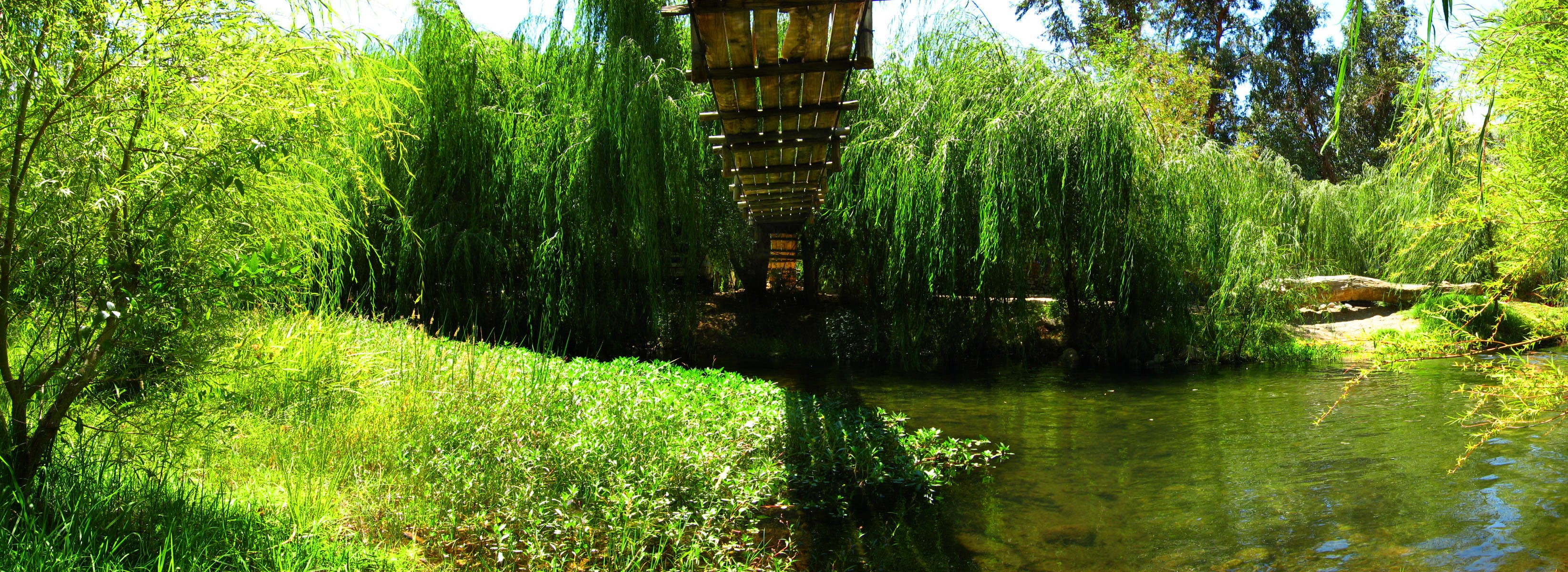 naturaleza, river, lake, growth, tranquility, tree, nature, tranquil scene, forest, reflection, plant, bridge, rio, green color, iv región, no people, land, HD Wallpaper