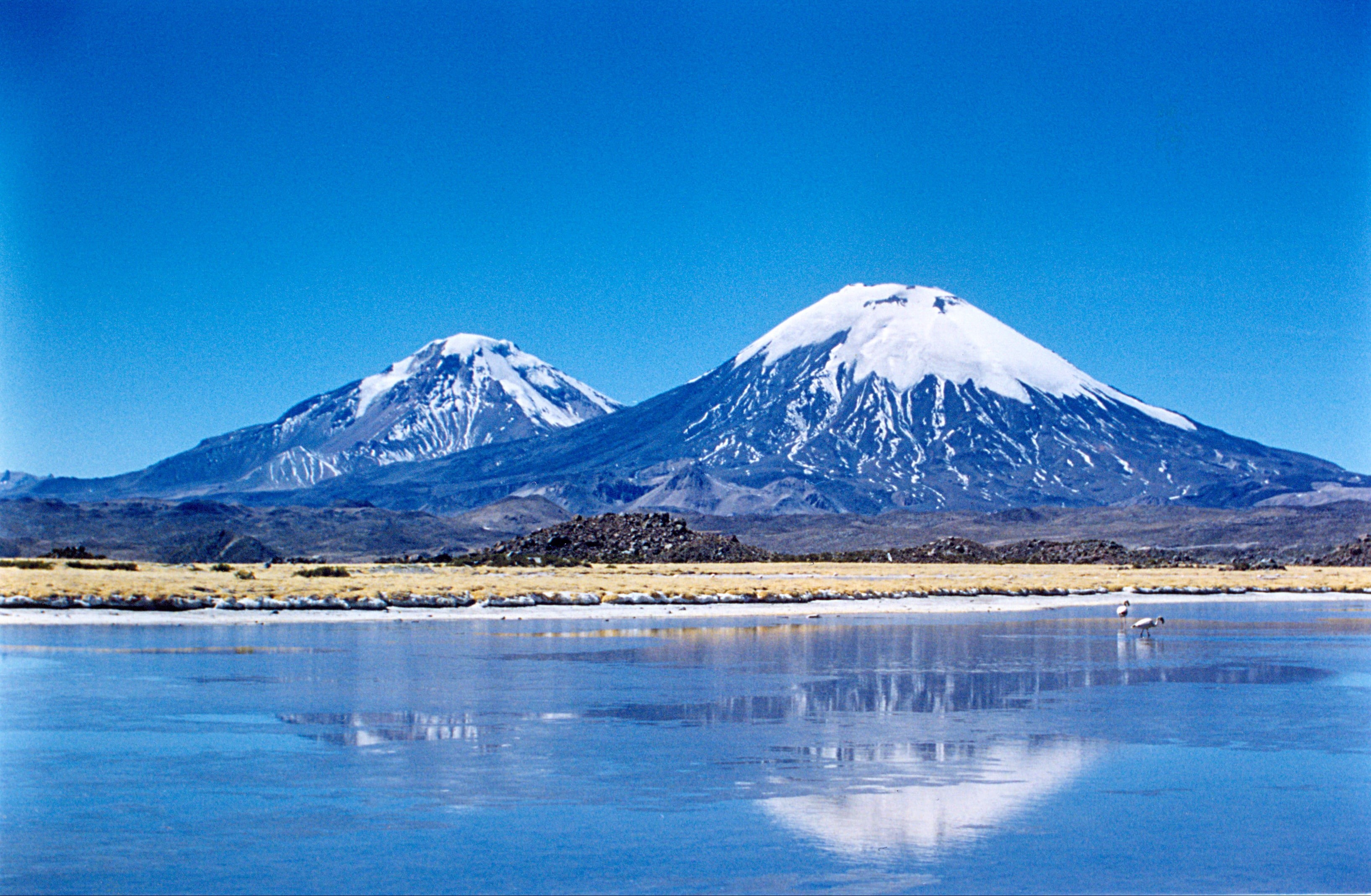 flamingo, 2K, lauca, chungara  lake, arica, scenics, volcano, mountain, chile, snow, Pomerape, mirror, photography, day, landscape, Parinacota, lake, nature, HD Wallpaper