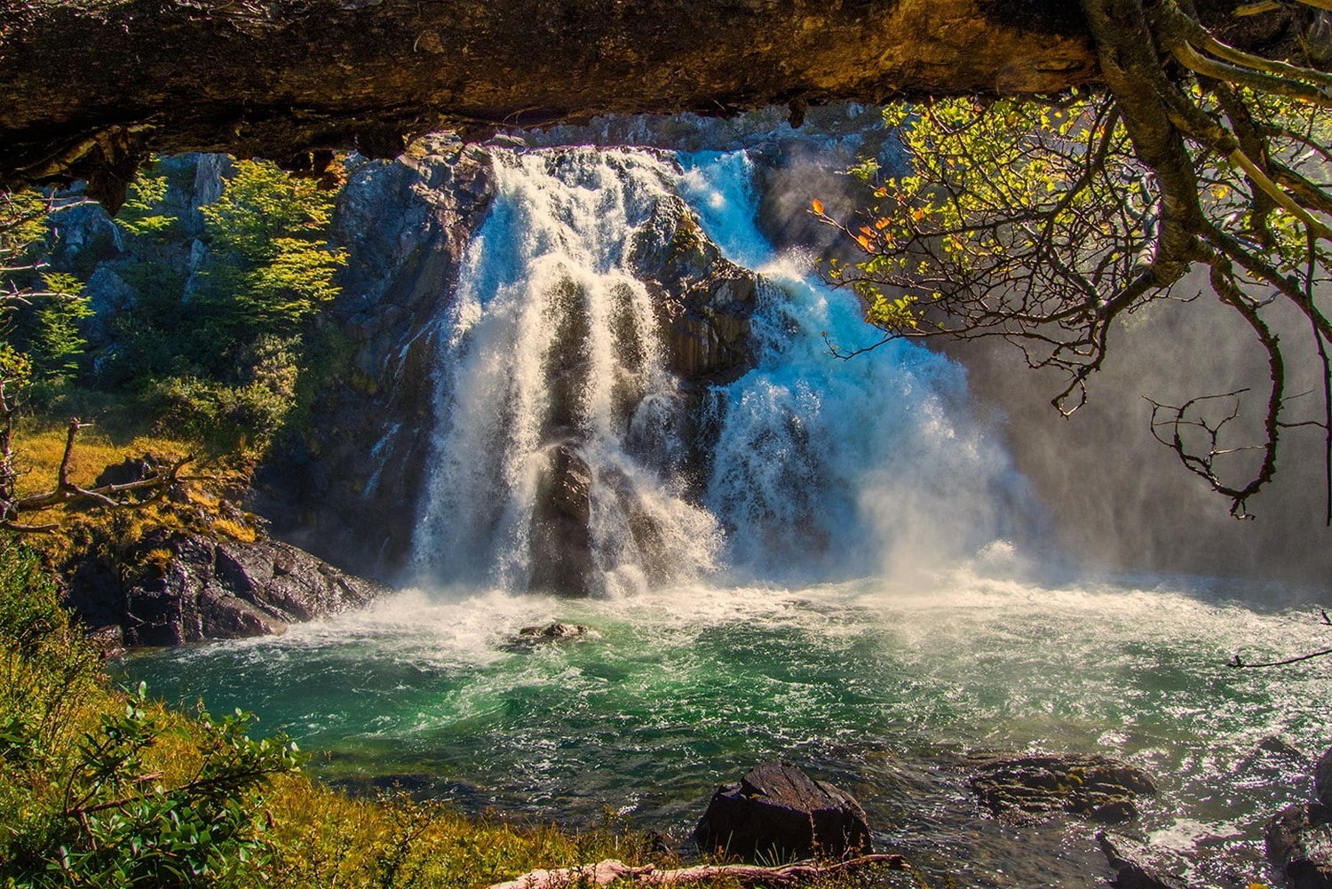 motion, tranquil scene, landscape, no people, plant, pond, nature, trees, waterfall, travel destinations, scenics - nature, Chile, forest, Patagonia, water, HD Wallpaper