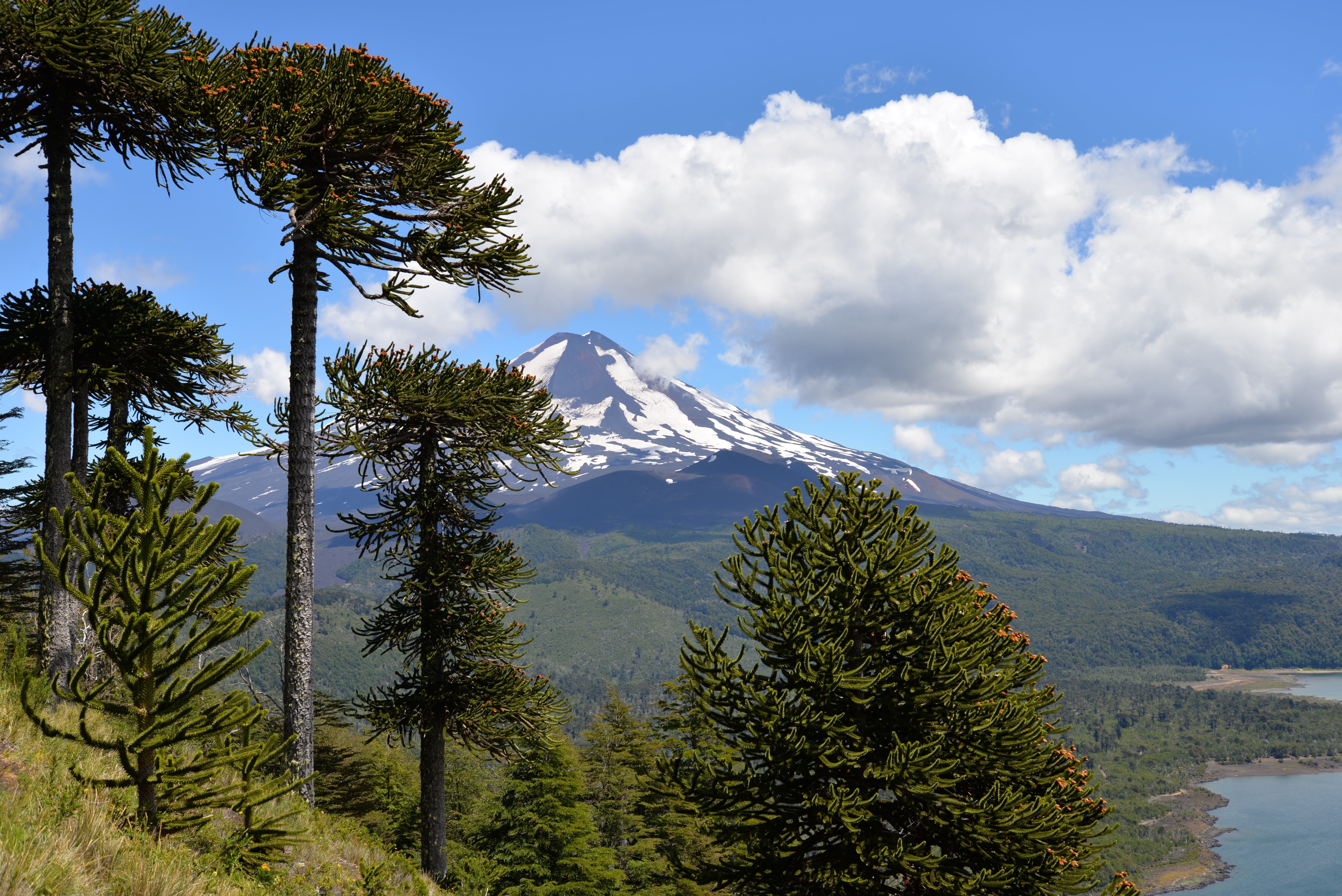 ancient, near, plant, ecosystem, mountain peak, cloud - sky, nature, mountain, scenics - nature, tranquility, volcano, high mountain, landscape, lake, mountain range, HD Wallpaper