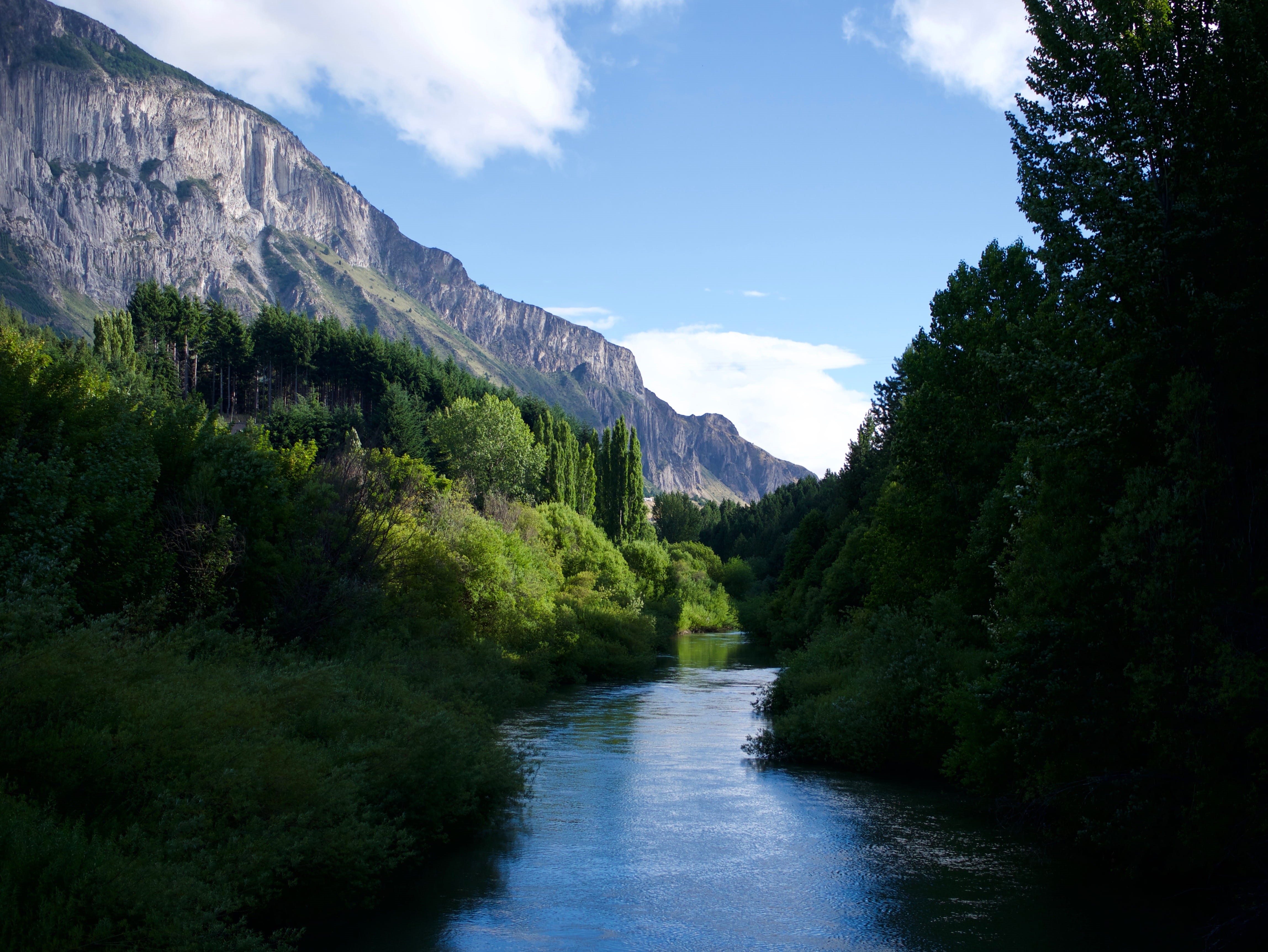nature, coyhaique, river, growth, green color, south, no people, flowing water, río, tranquility, patagonia, water, montaña, cloud - sky, day, sky, bosque, HD Wallpaper