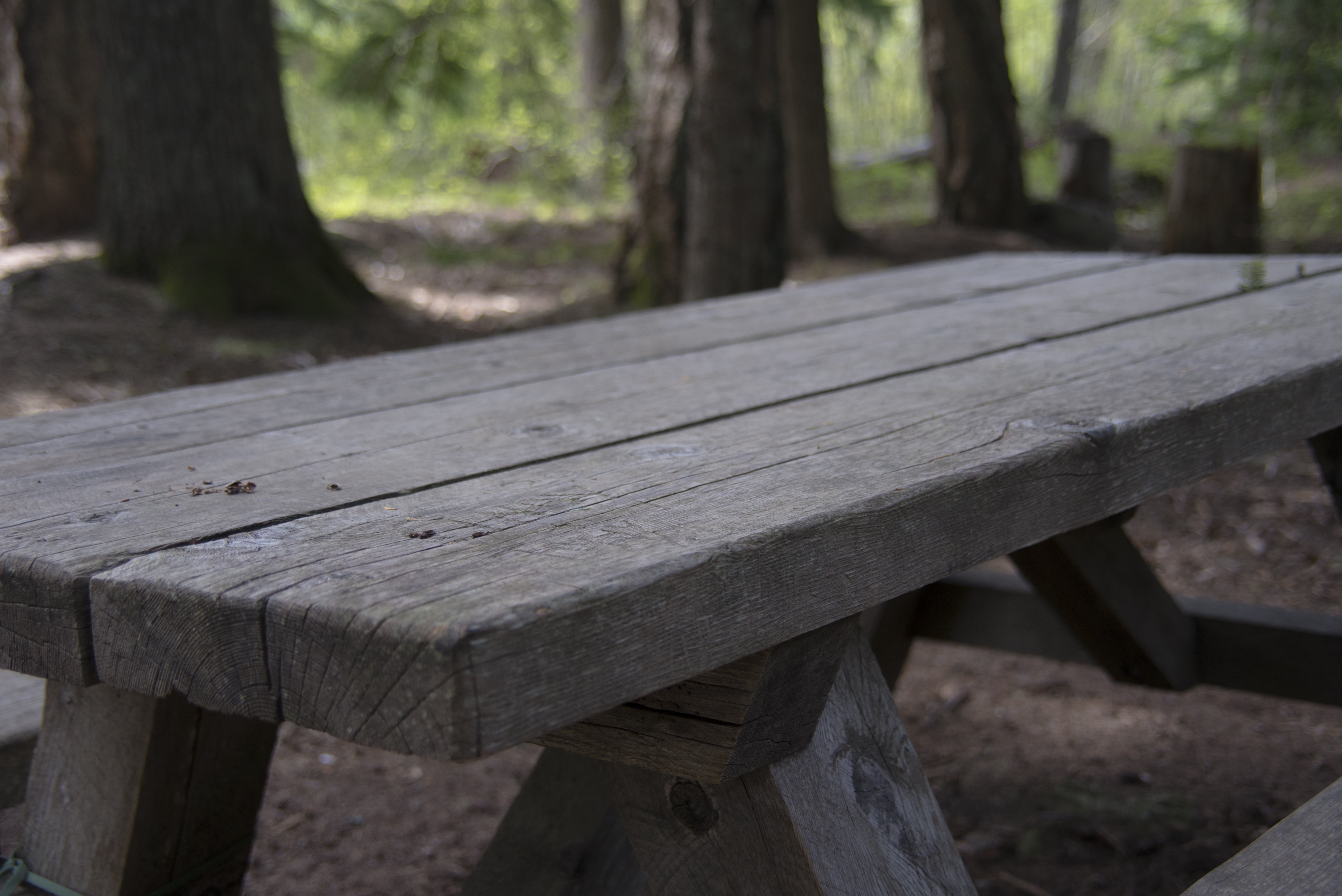 table, outdoors, close-up, gray, trunk, park - Man Made Space, wood - Material, tree, focus on foreground, roadside, forest, nature, 5K, tree trunk, plant, HD Wallpaper