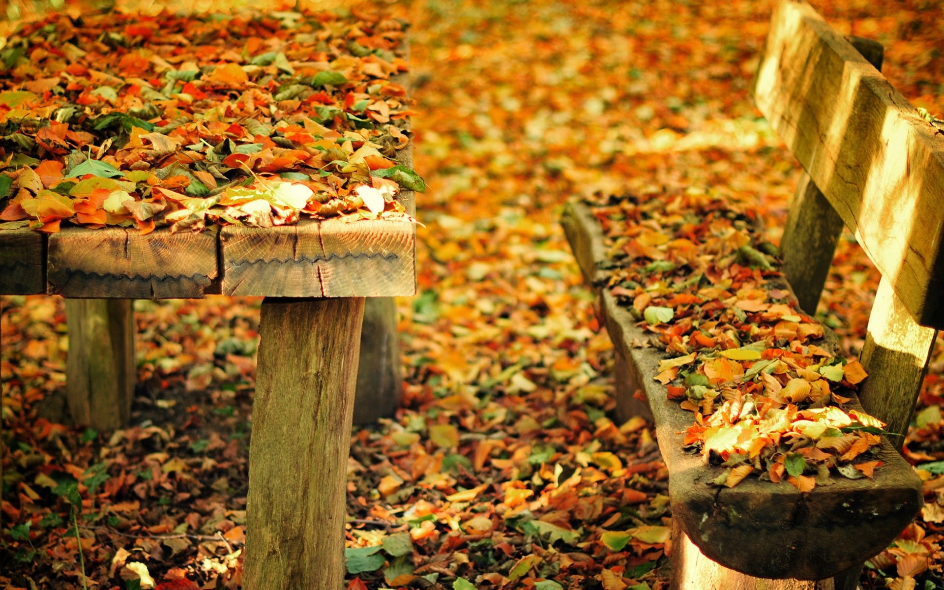 set, Fall, picnic, Nature, Leaves, Park, brown, Table, Autumn, wooden, 1080P, Bench, HD Wallpaper