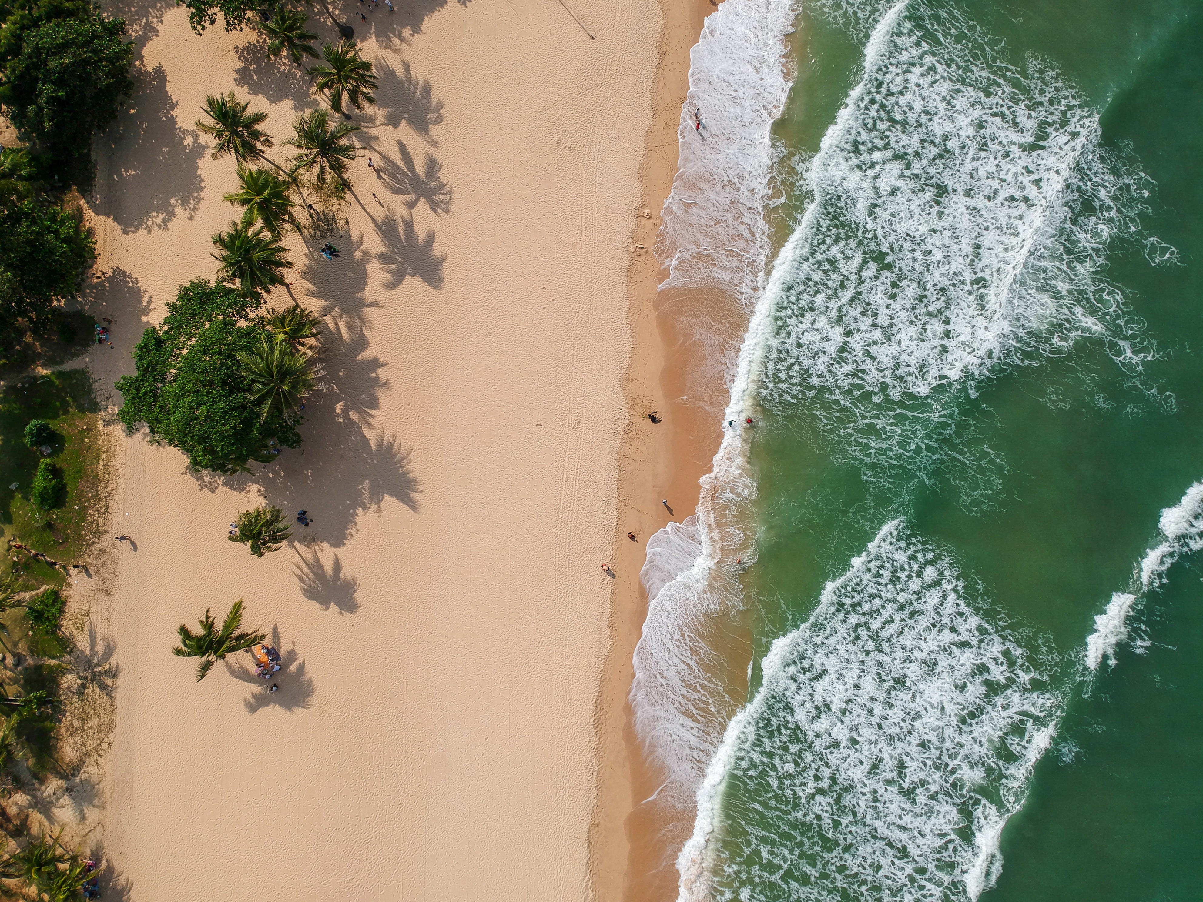 travel, near, coastline, looking down, aerial, summer, sunbathe, dual tone, holiday, woodland, tree, ocean, tropical, 4K, photography, backgrounds, nature, HD Wallpaper