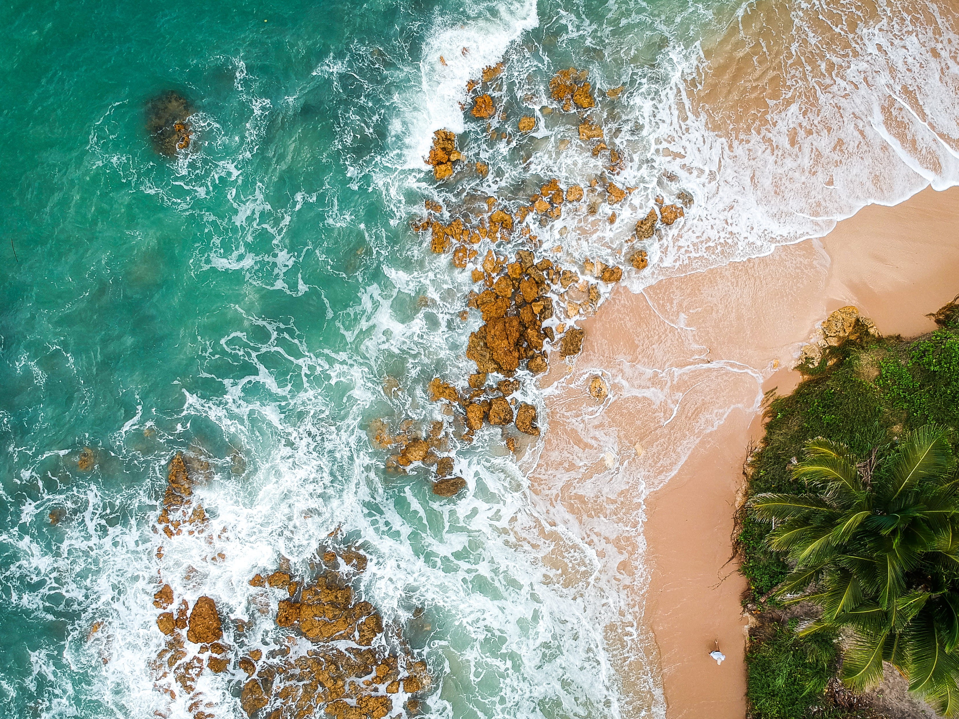 beauty in nature, rock - object, tropical, landscape, splash, power in nature, seashore, h2o, birds eye view, sand, aerial, sport, 2K, waves, trees, photography, HD Wallpaper