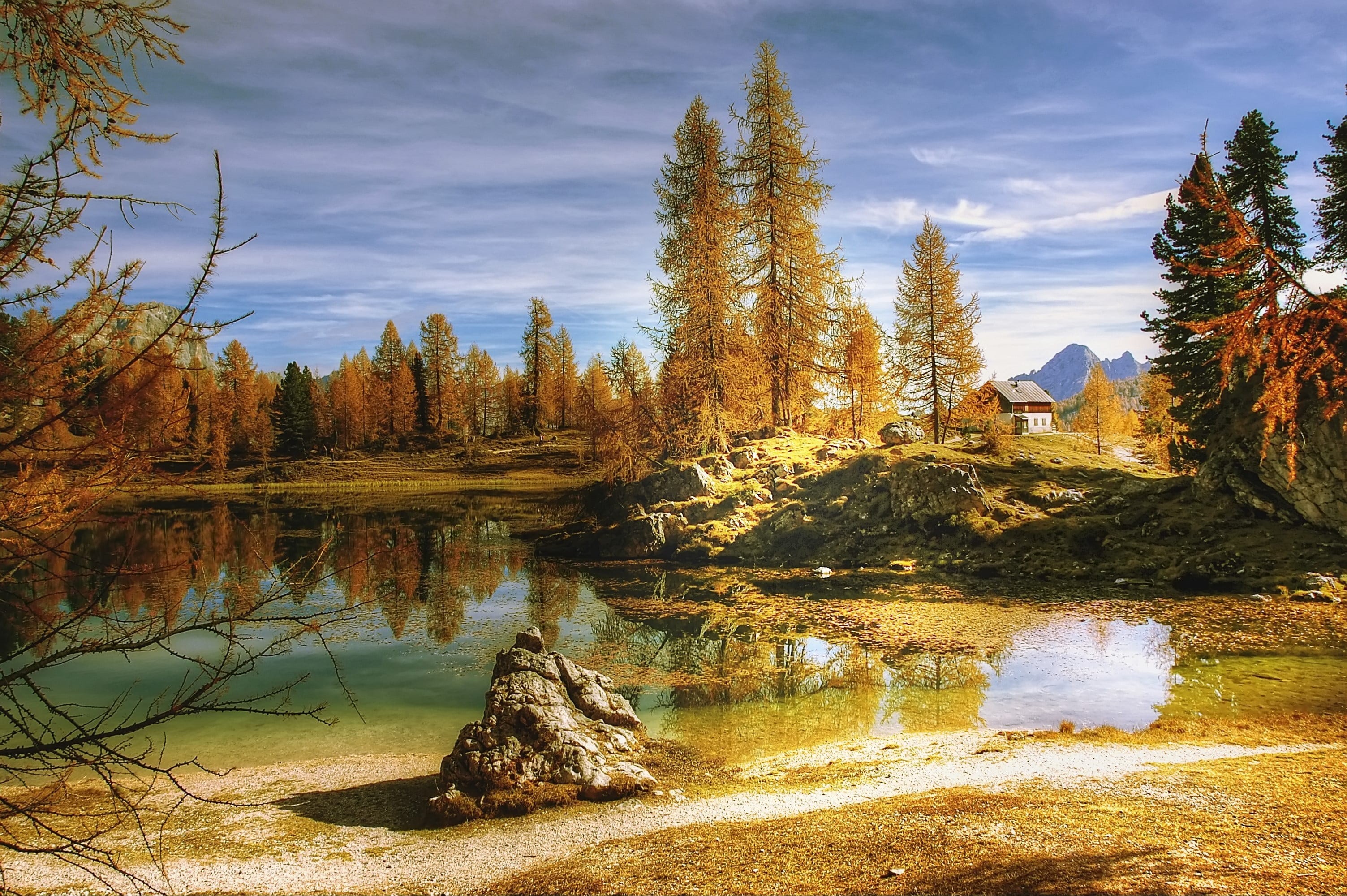 nature, outdoors, near, tranquility, view, golden, tree, river, rubble field, tranquil scene, plant, no people, day, idyllic, water, 2K, beauty in nature, HD Wallpaper