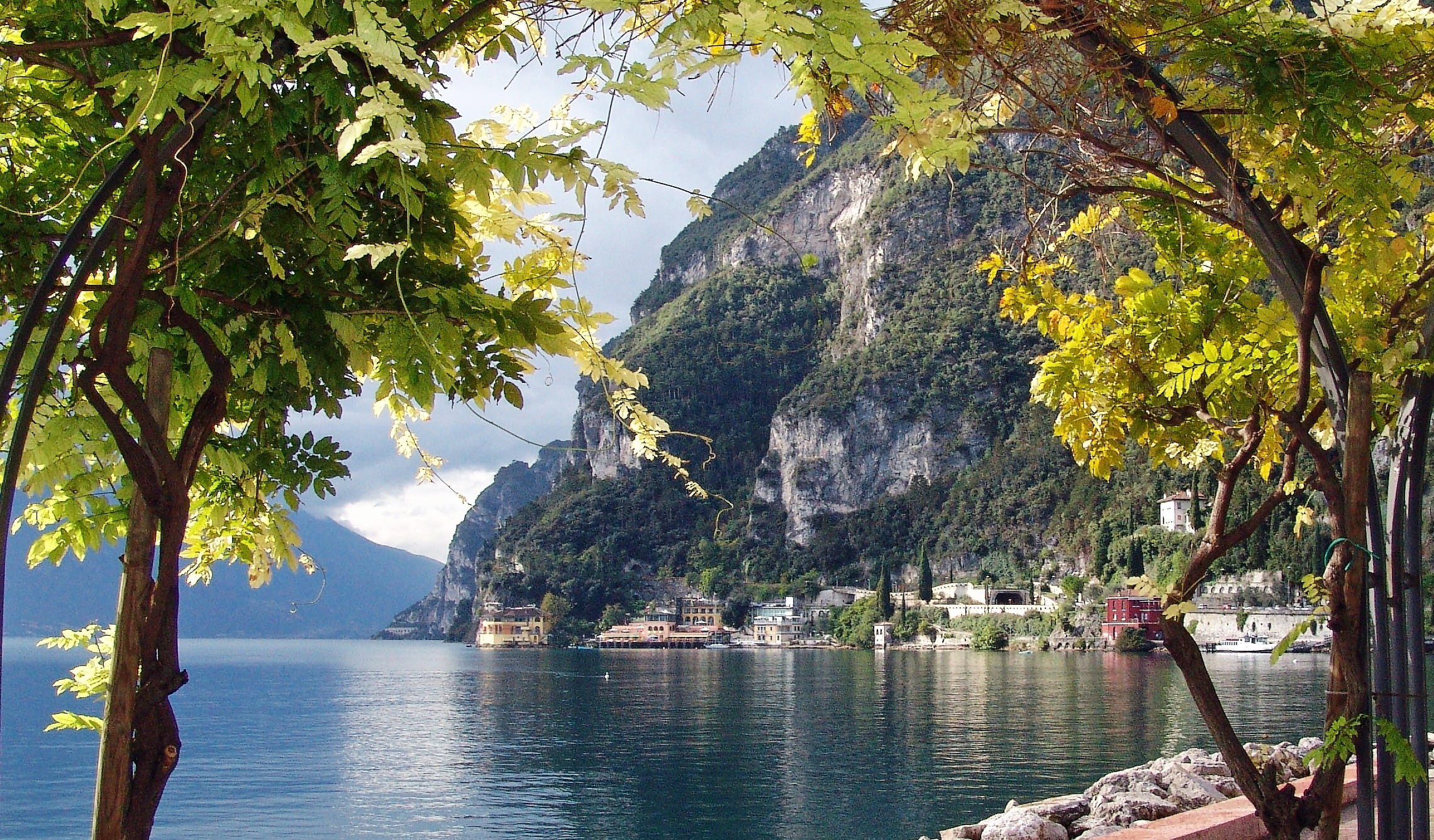 growth, sea, day, formation, tree, water, Riva, Garda, mountain, daytime, no people, nature, palm tree, mountain range, plant, body, 1080P, outdoors, beauty in nature, HD Wallpaper