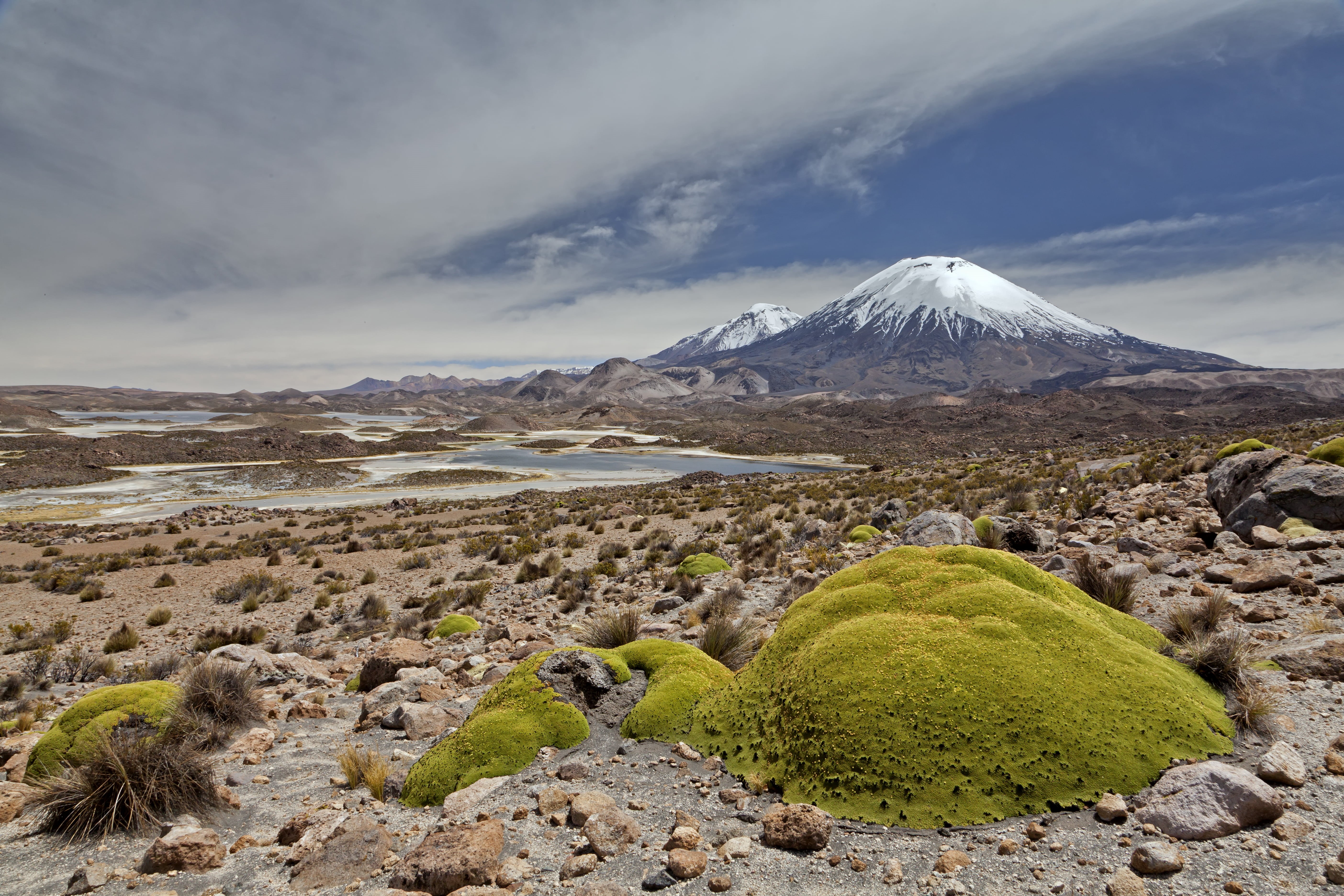 vulcano, japan, moss, mountain Peak, chile, mountain, wild, parinacota, wilderness, arica, canon 5D, altiplano, andes, volcano, lago, highlands, Parinacota volcano, HD Wallpaper