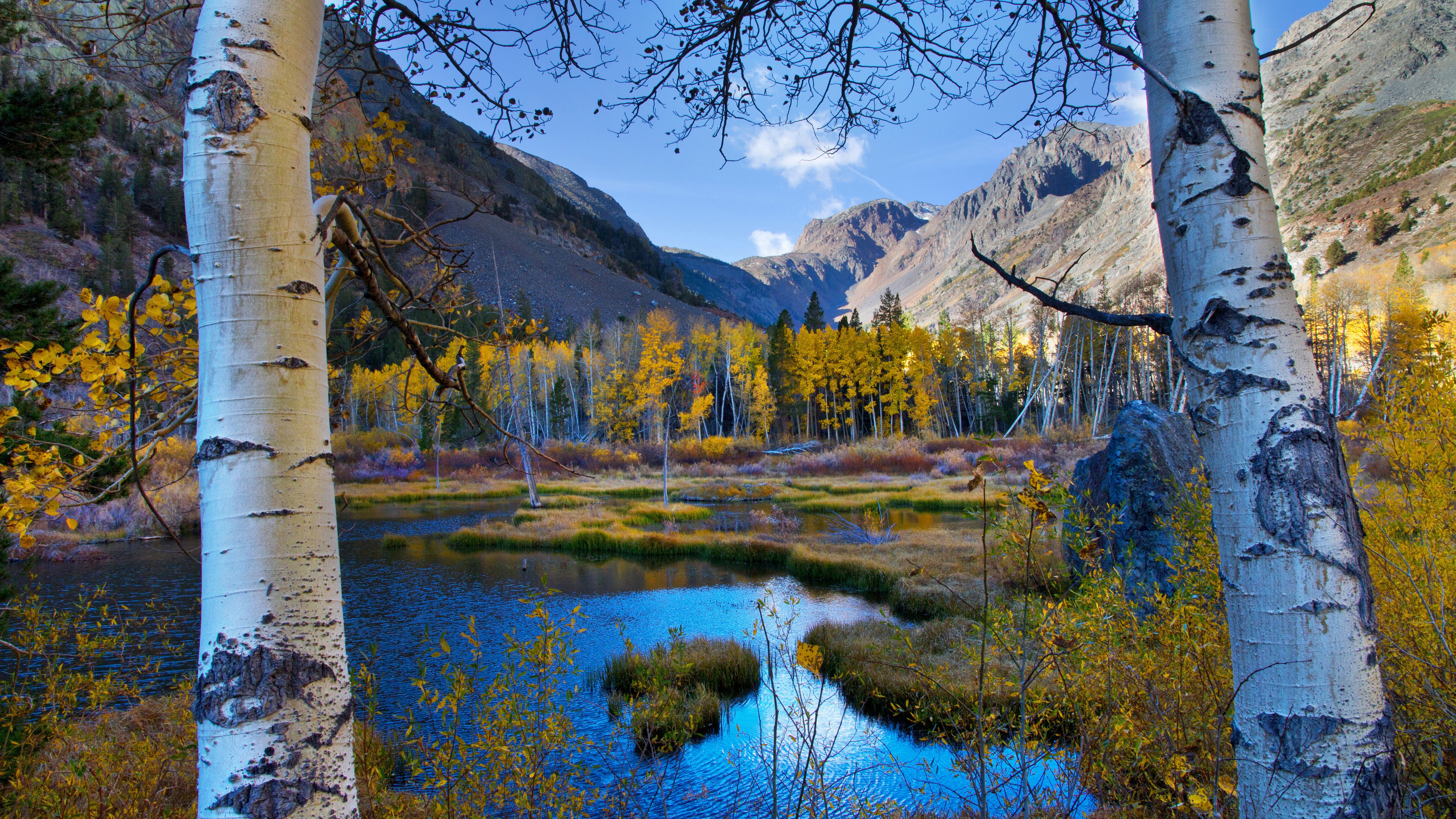 nature full size desktop 7680x4320, 8K, HD Wallpaper