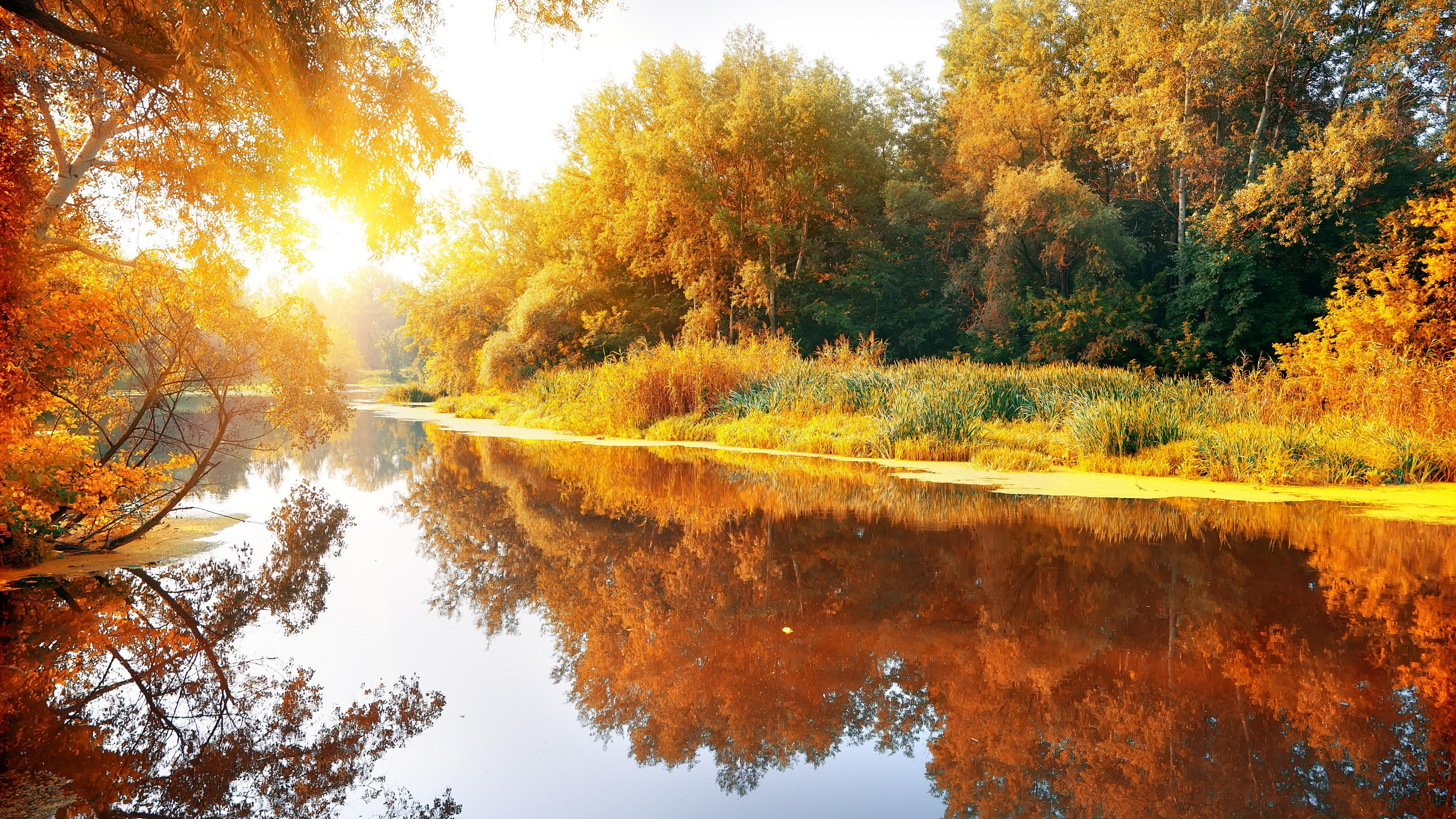 8K, nature full size desktop 7680x4320, HD Wallpaper