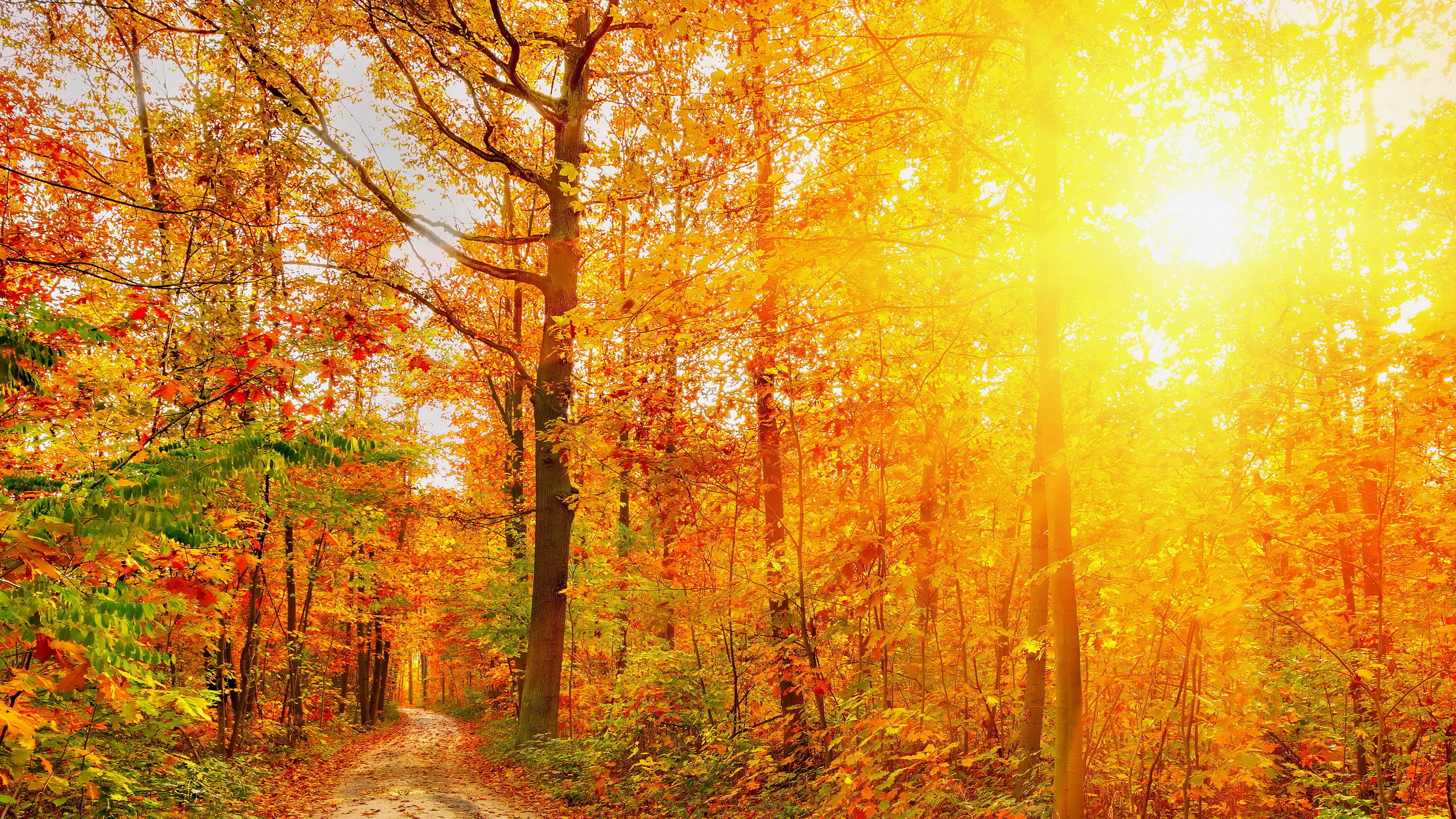 nature full size desktop 7680x4320, 8K, HD Wallpaper