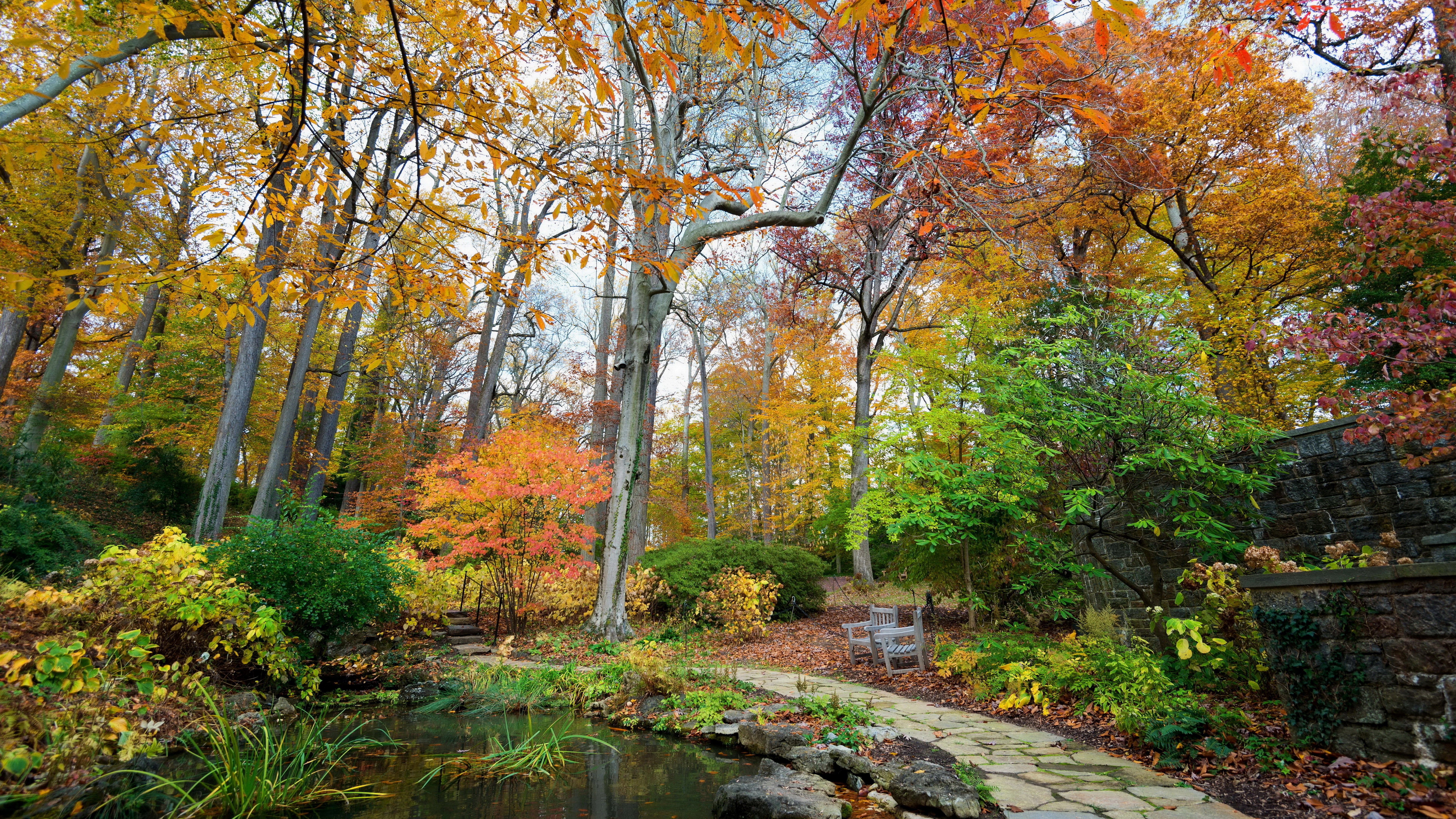 8K, nature full size desktop 7680x4320, HD Wallpaper