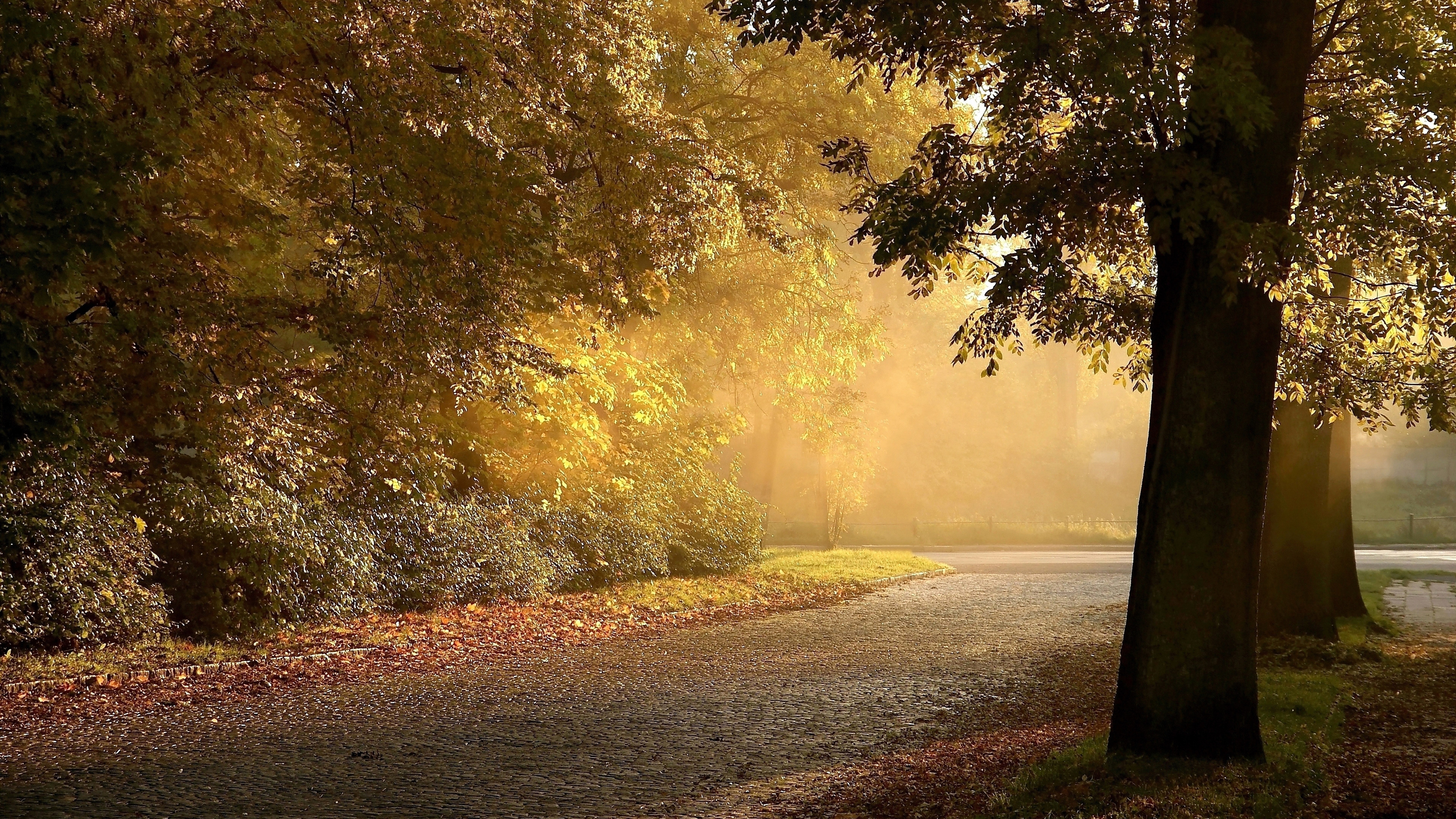 8K, nature full size desktop 7680x4320, HD Wallpaper