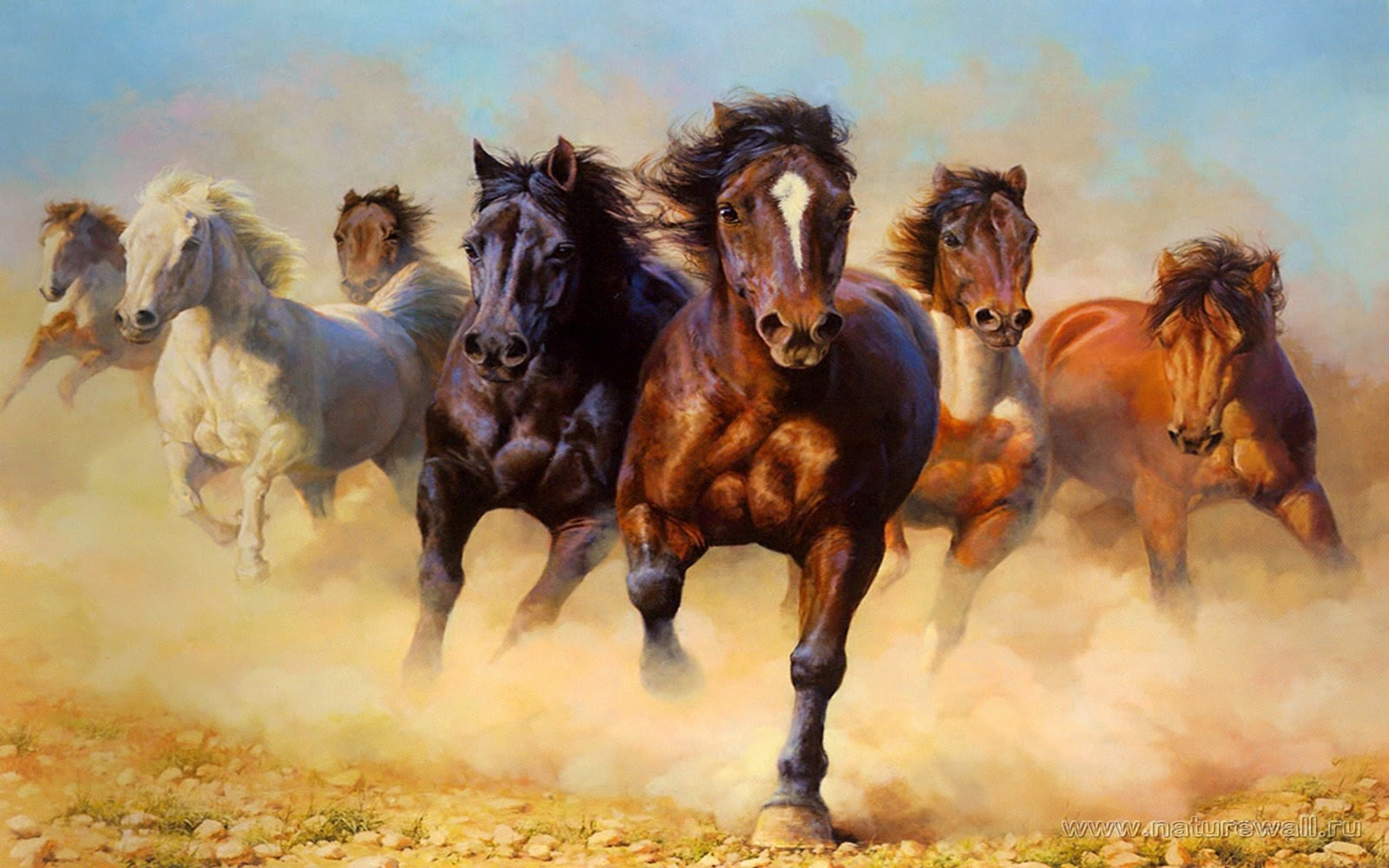 domestic animals, dust, animal wildlife, field, vertebrate, livestock, 4K, horse, horses, herbivorous, animal, outdoors, animal themes, hd, wild, day, HD Wallpaper
