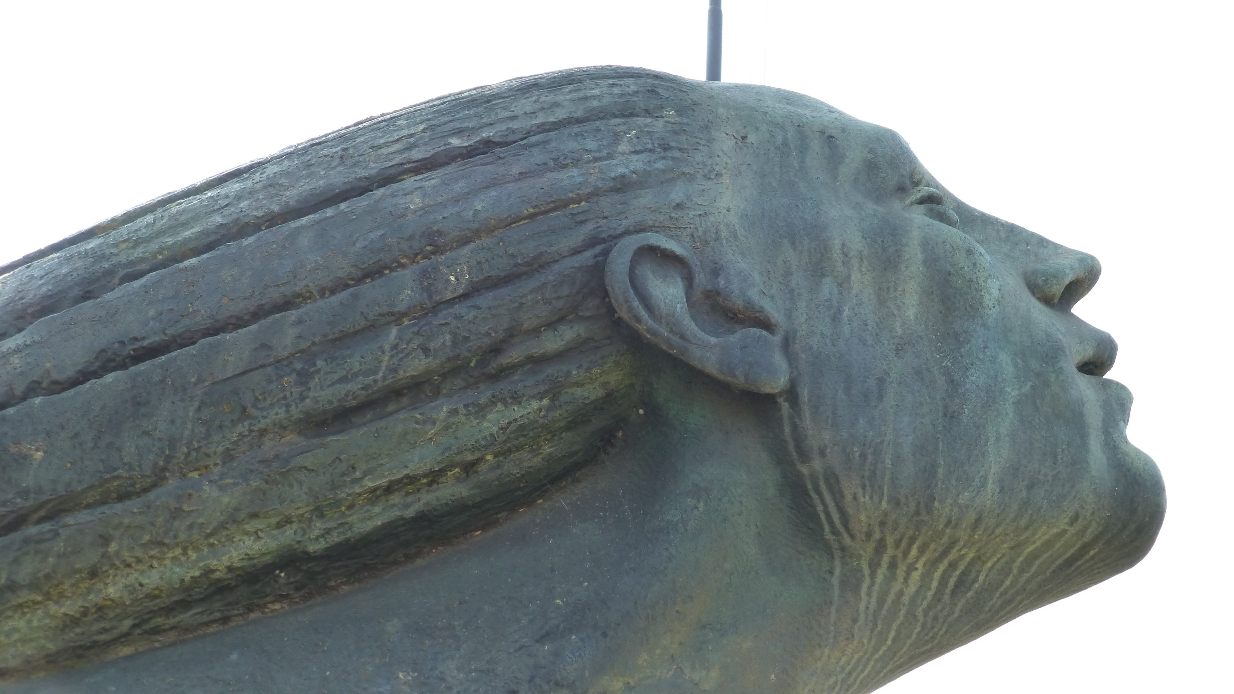 animal head, ital air force, animal representation, creativity, animal, statue, animal body part, desenzano del garda, womans head, low angle view, italy, HD Wallpaper