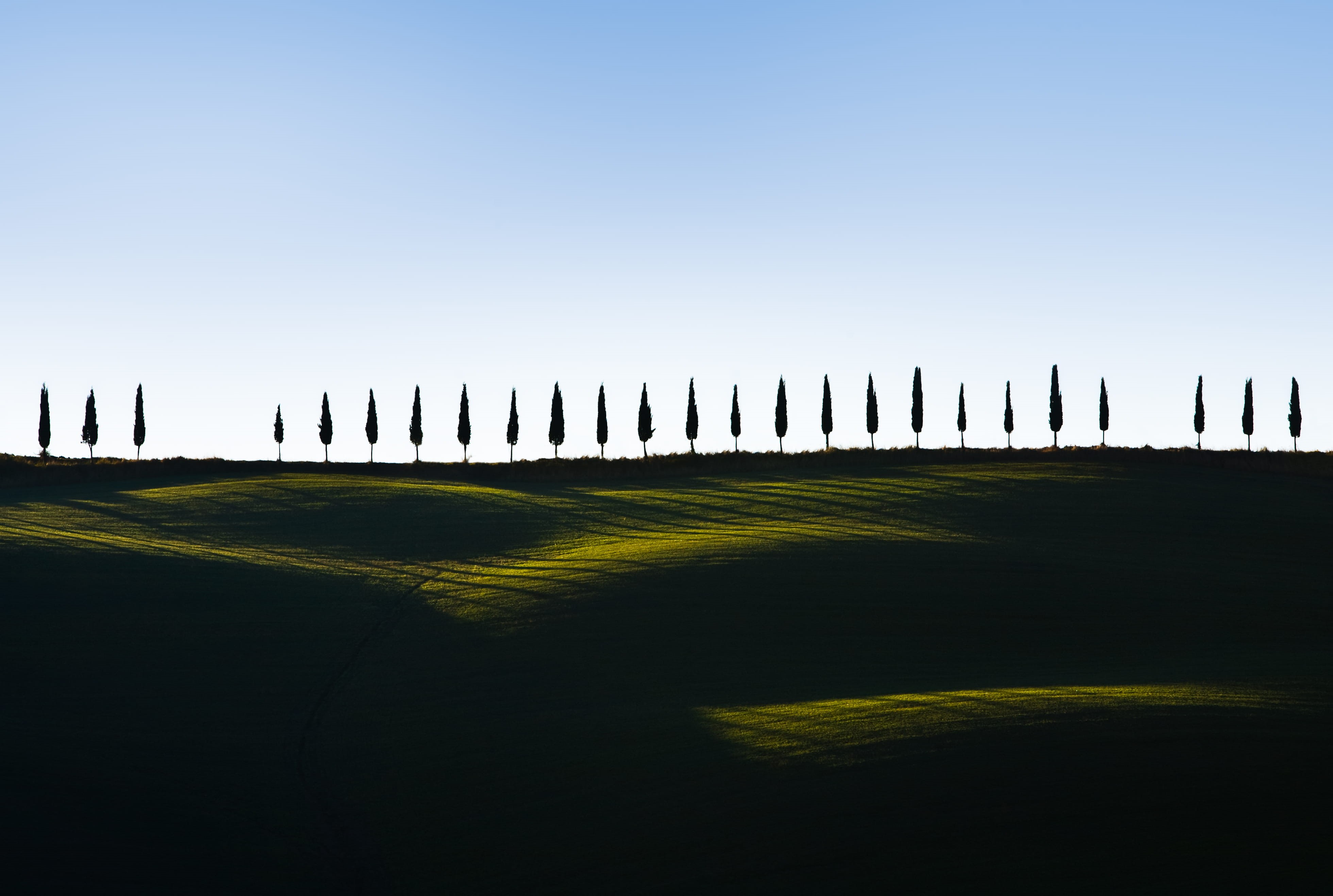 italy, no People, silhouette, outdoors, trees, shadow, field, pattern, sunset, tree, color Image, tuscany, horizon, contrast, tranquil Scene, non-Urban Scene, HD Wallpaper