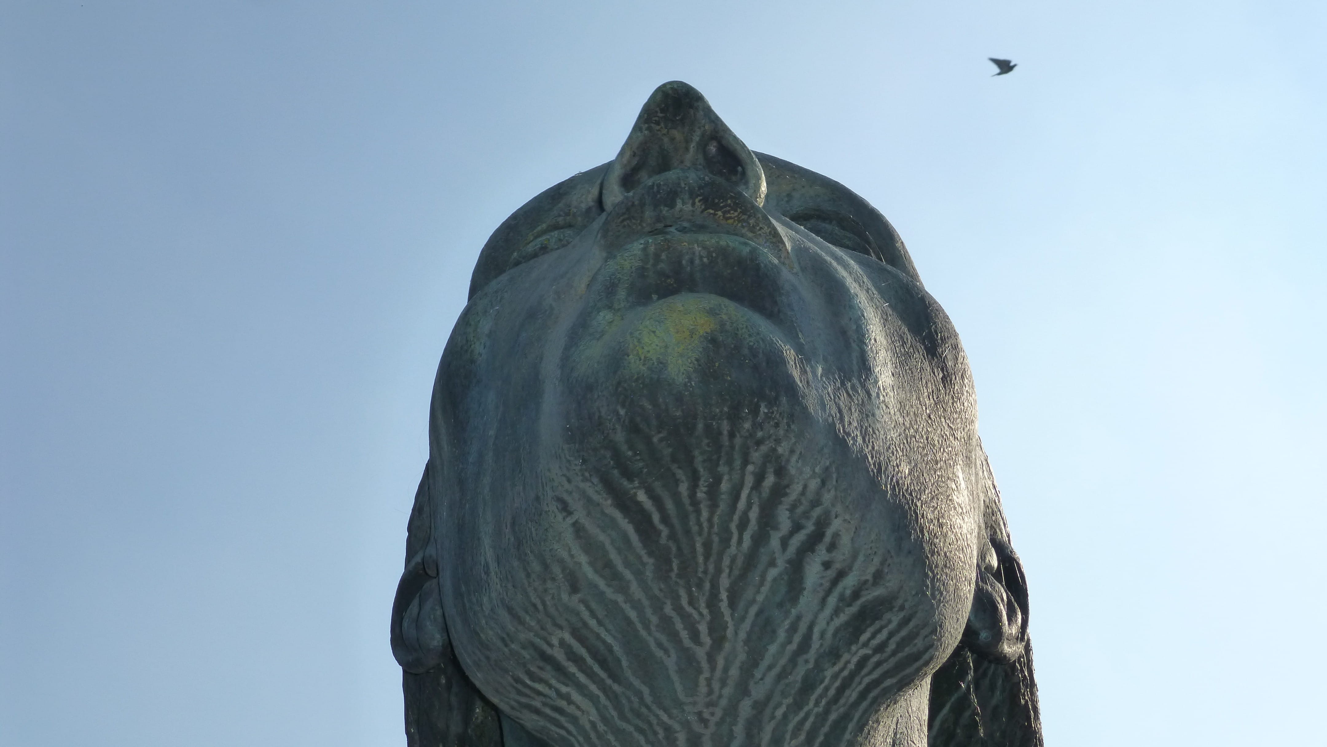 animals in the wild, day, eagle, animal wildlife, high speed, sculpture, animal body part, no people, womans head, low angle view, vertebrate, animal themes, HD Wallpaper