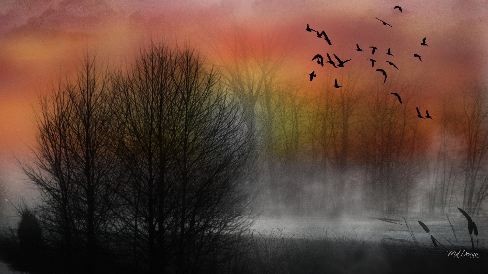 1080P, tres, 3d and abstract, sunset, birds, firefox persona, mist, river, misty, HD Wallpaper