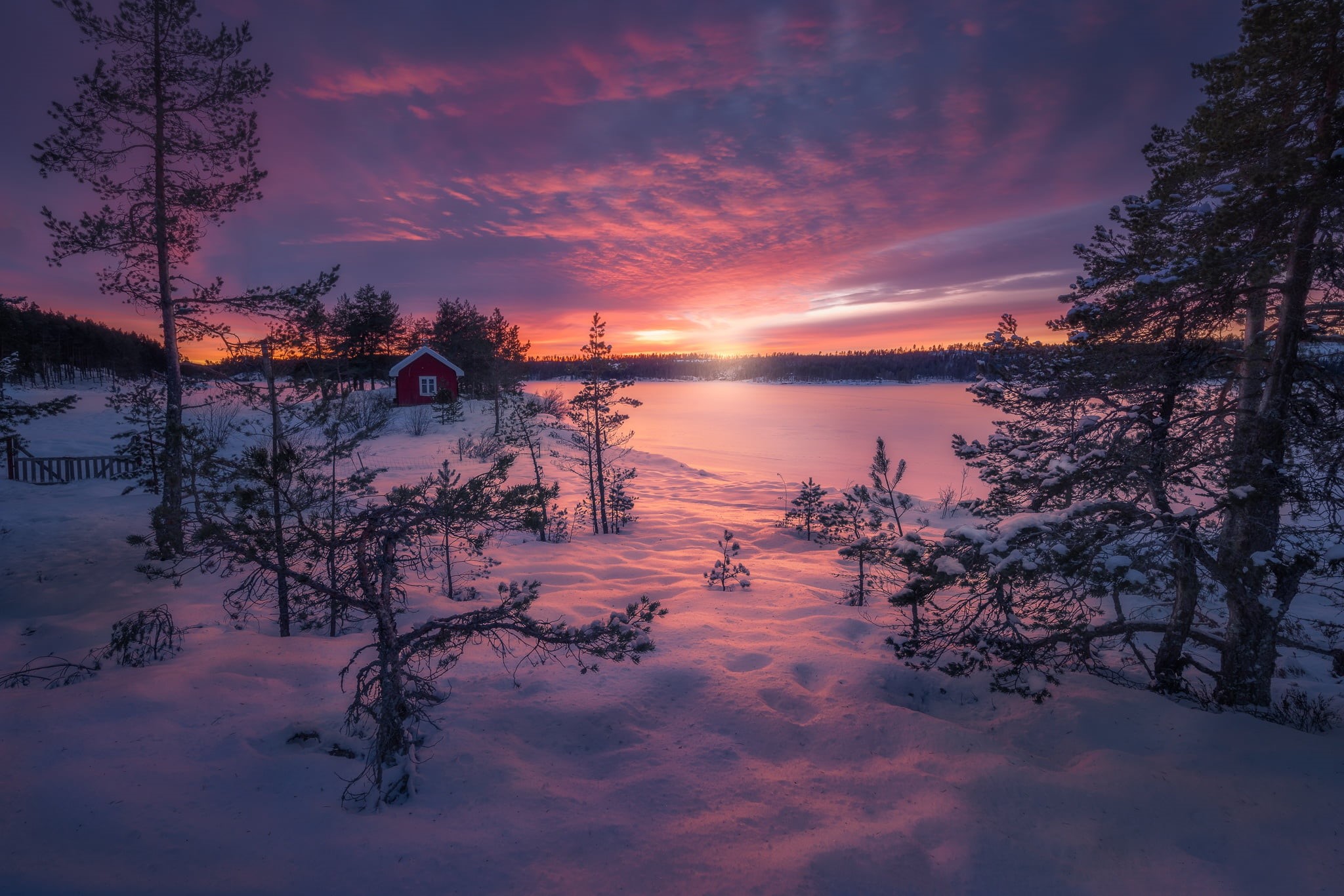Magic of Winter, Ringerike, Norway, 1080P, HD Wallpaper