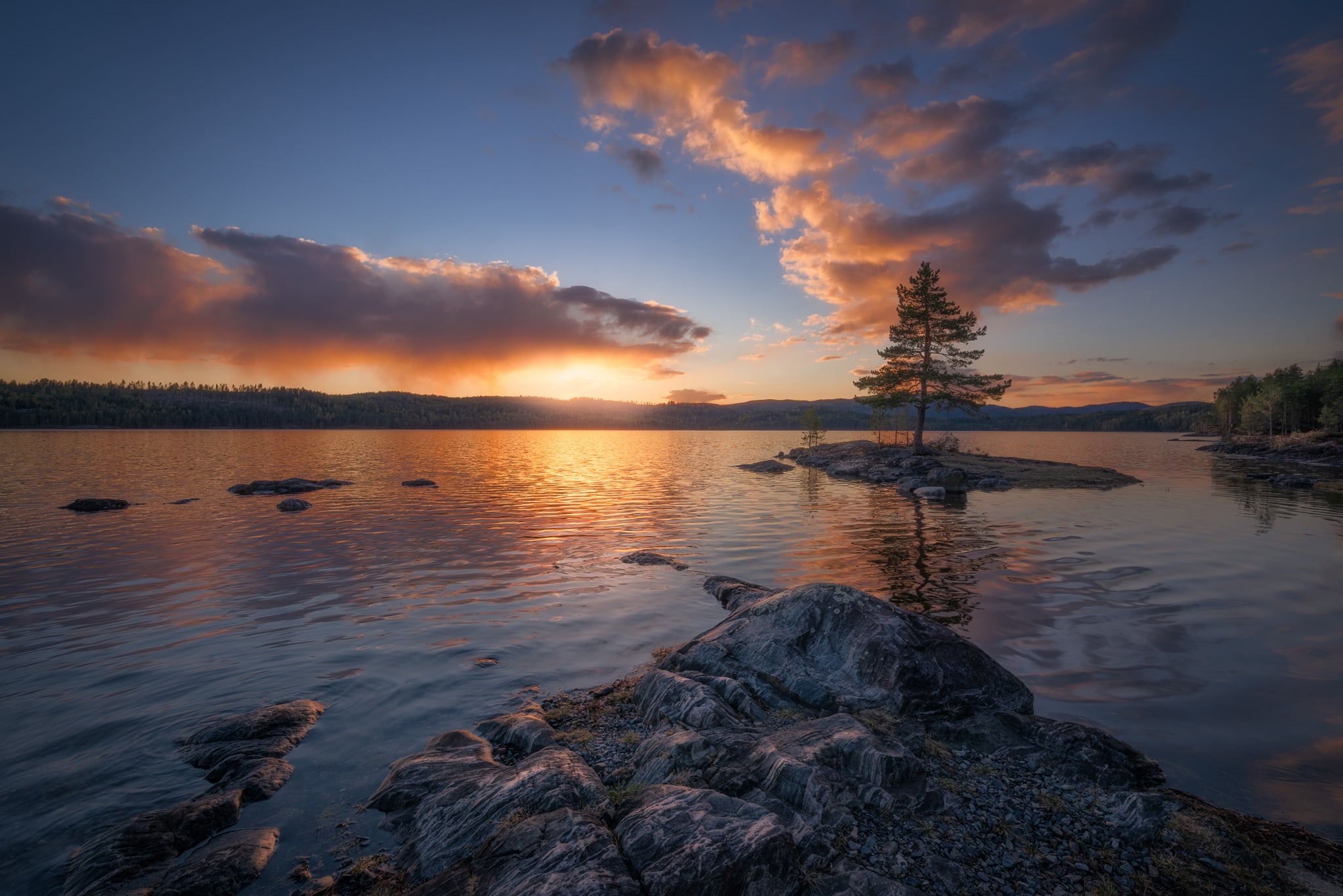 1080P, Norway, clouds, water, lake, tree, island, pine, RINGERIKE, sunset, HD Wallpaper