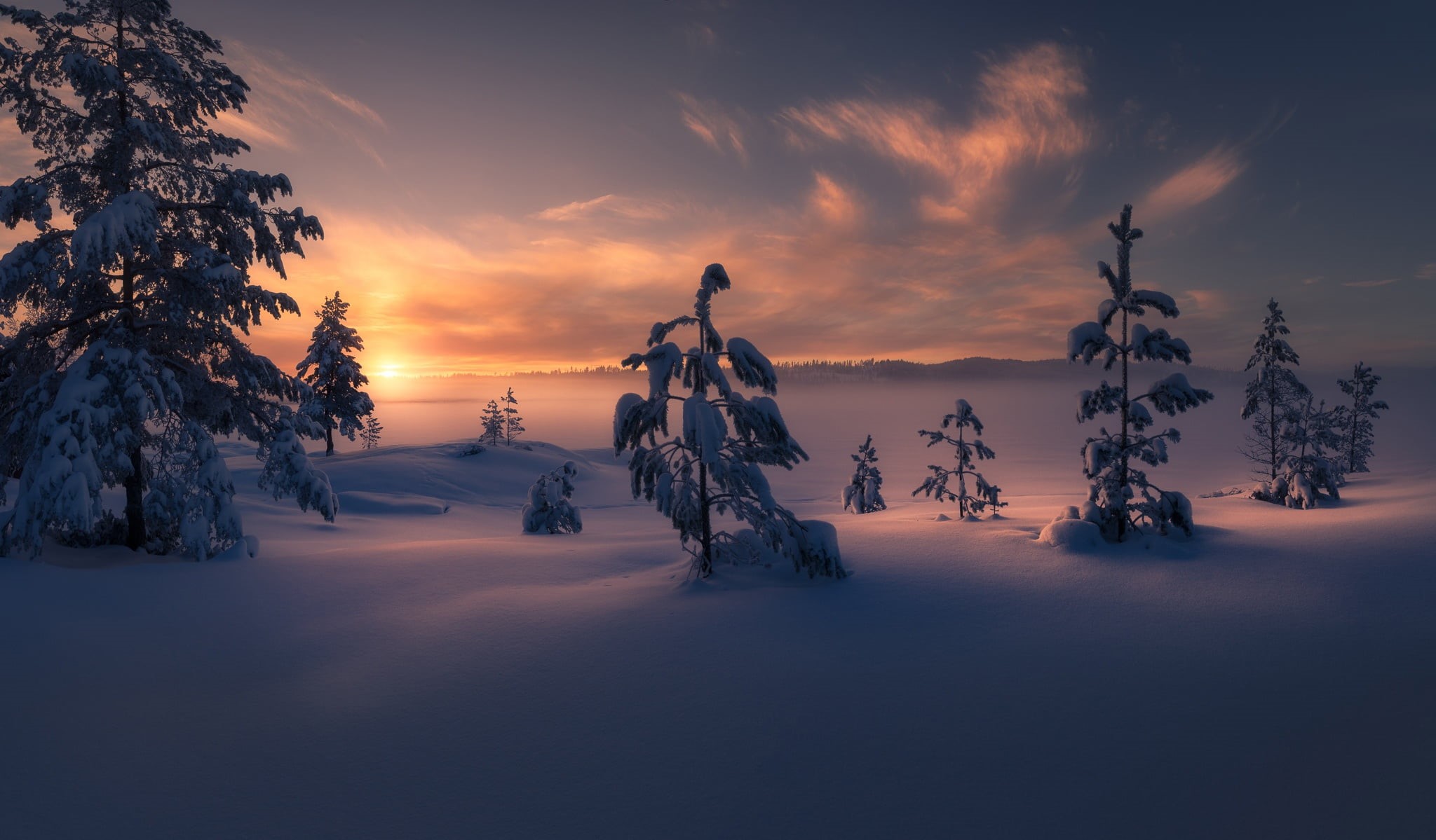 trees, winter, snow, sunset, RINGERIKE, 1080P, the snow, Norway, HD Wallpaper