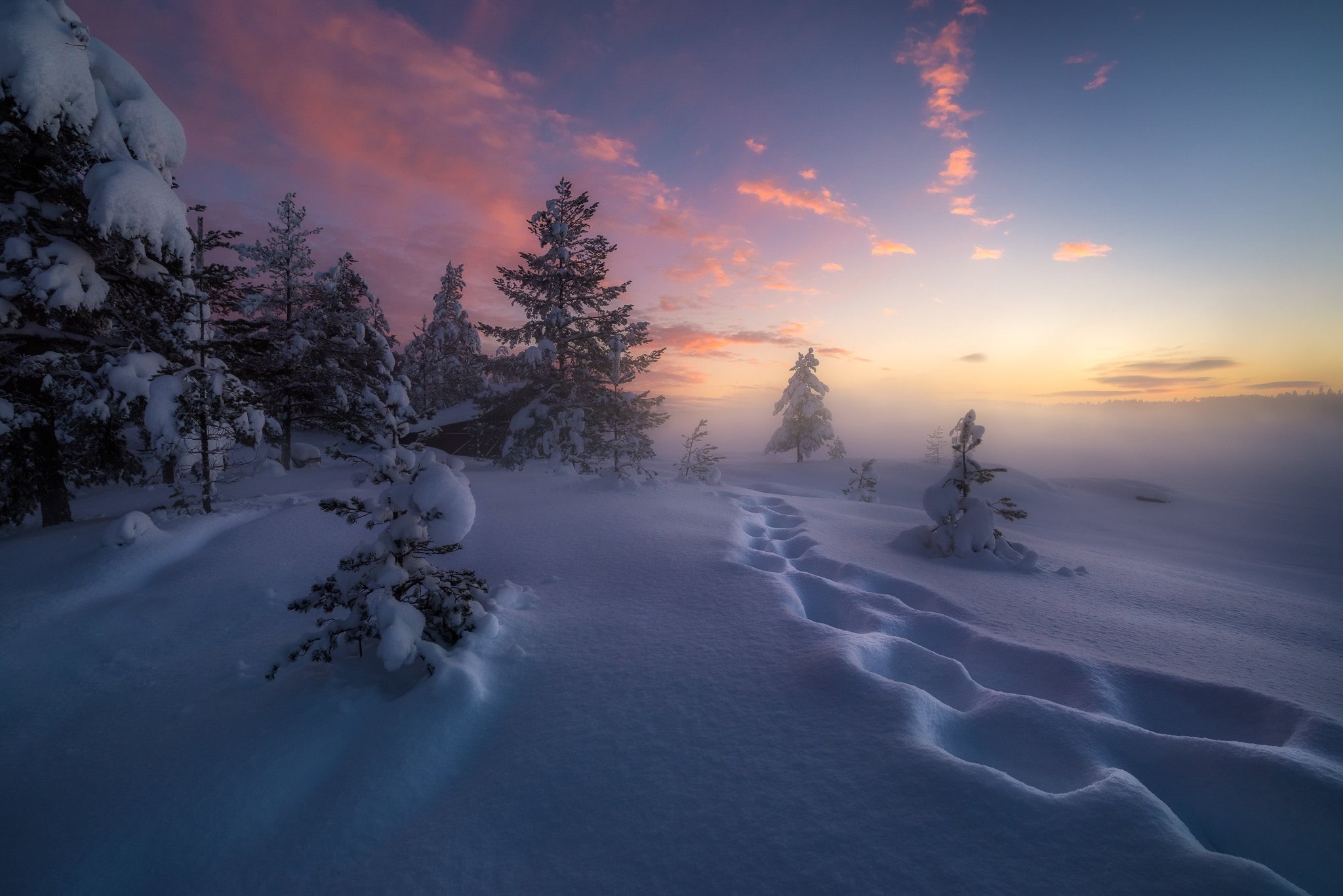 winter, 1080P, RINGERIKE, the snow, snow, trees, traces, Norway, HD Wallpaper