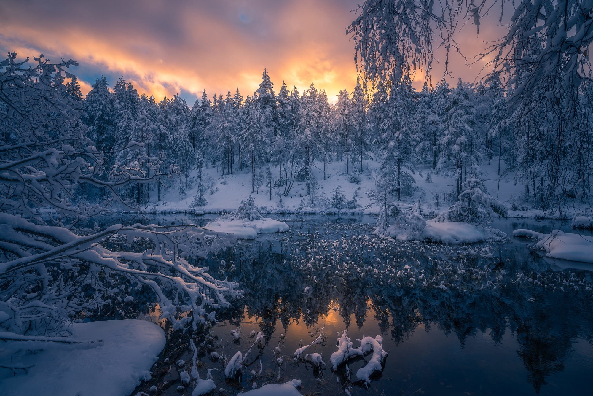 Ringerike, Norway, 1080P, Norwegian Woods, HD Wallpaper