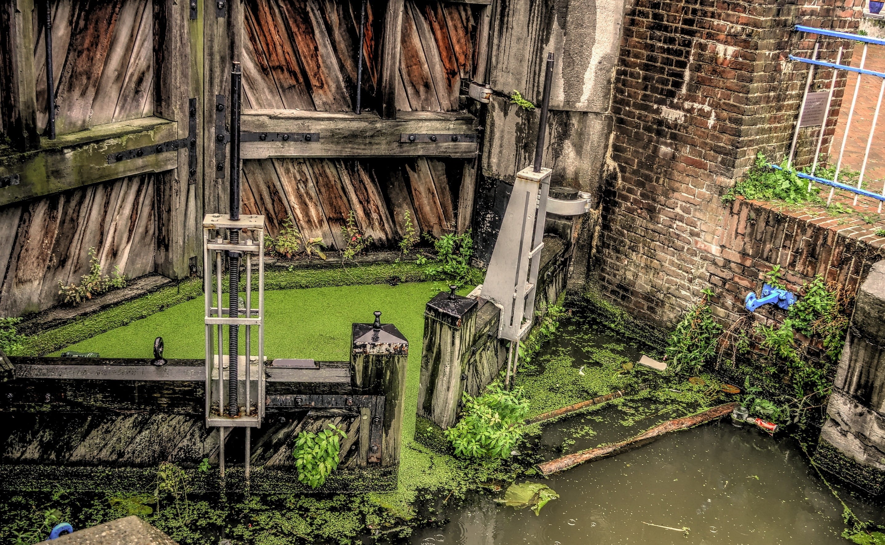 building exterior, run-down, abandoned, offspring, architecture, canal, day, old, damaged, sluis, obsolete, maassluis, green color, ruined, built structure, HD Wallpaper