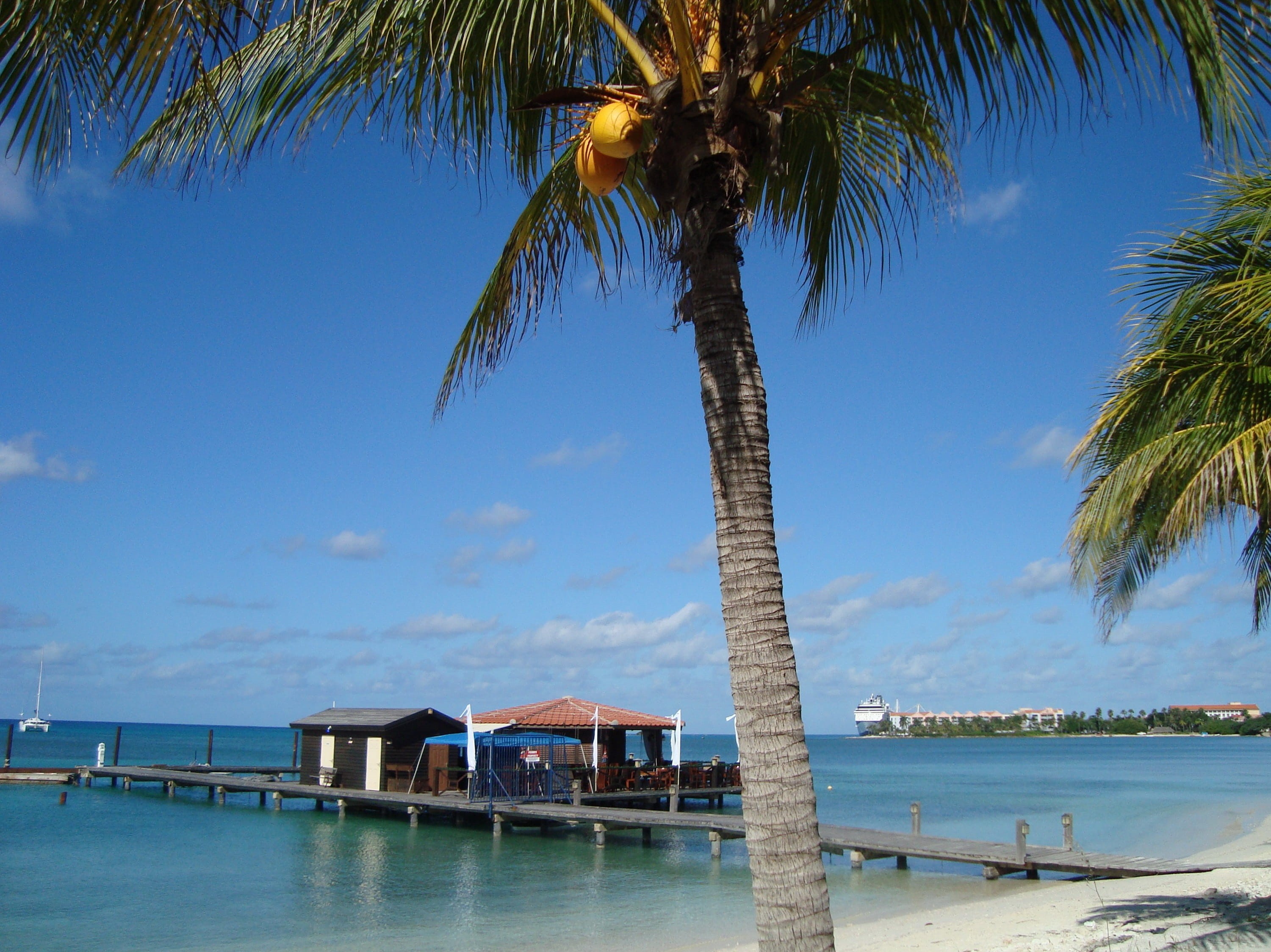 tree, built structure, paradise island, des caraïbes, tropical climate, plage, palmeras, architecture, paraíso de la isla, karibik inseln des, scenics, HD Wallpaper