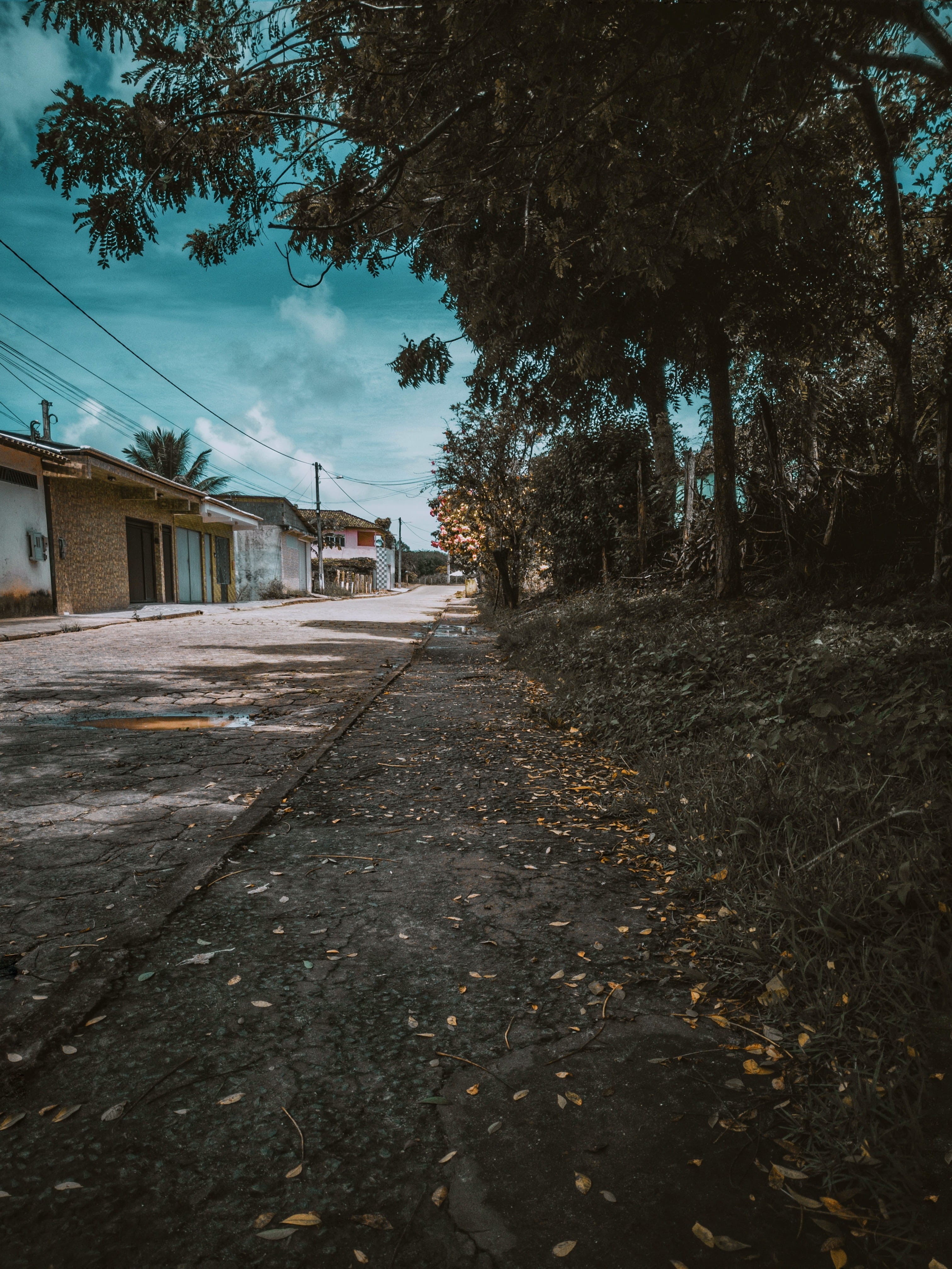 housing, long, spire, 4K, steeple, building exterior, building, land, dry, sidewalk, tarmac, tree, trees, urban, architecture, brasil, diminishing perspective, Phone HD Wallpaper