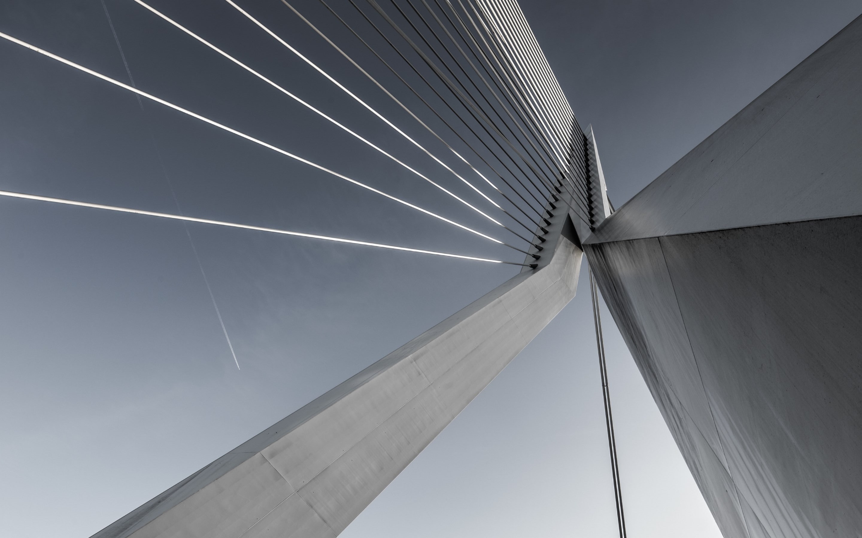 sky, suspension bridge, built structure, photography, connection, directly below, no people, Rotterdam, skyscraper, bridge - man made structure, cable-stayed bridge, HD Wallpaper