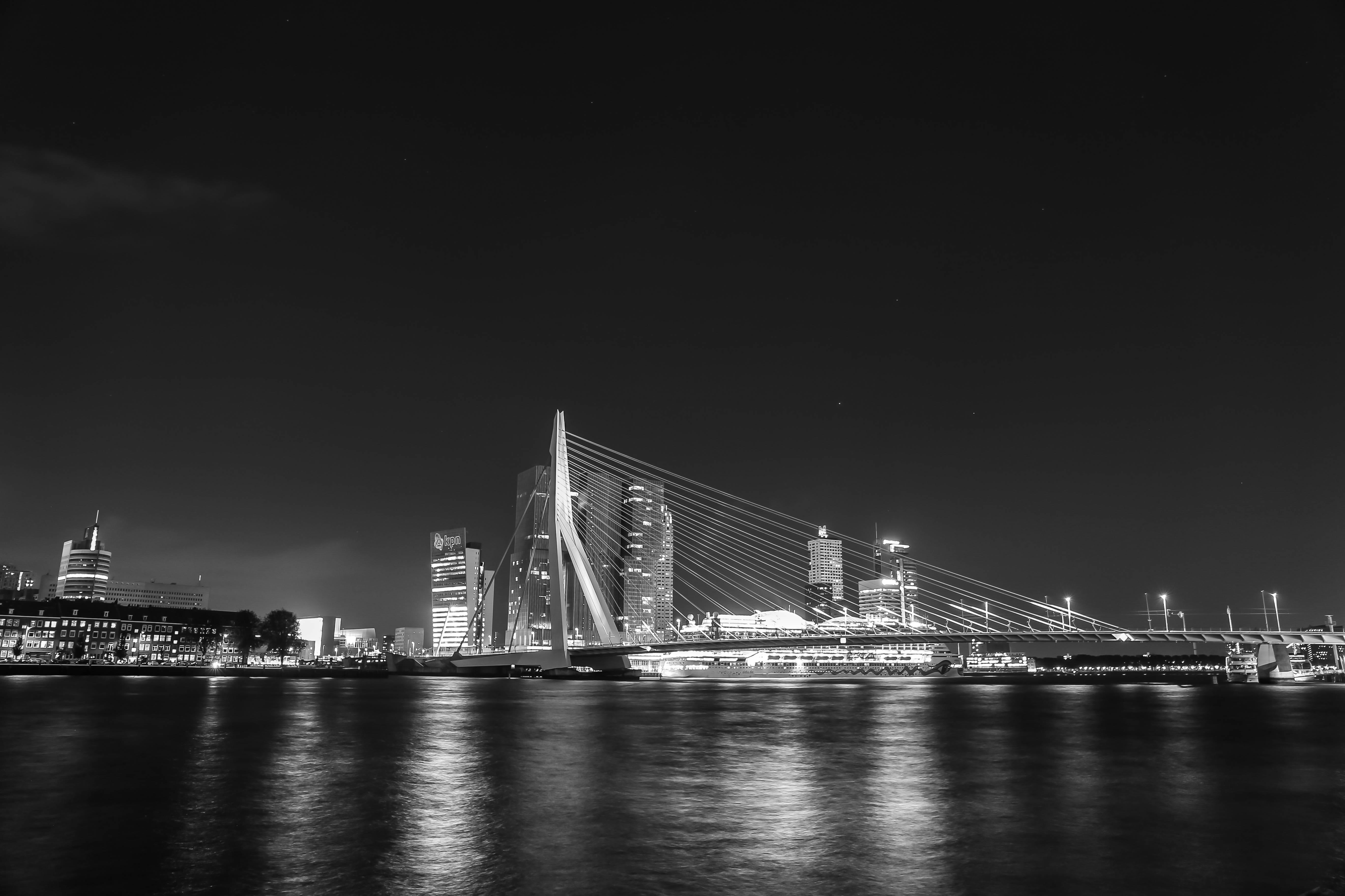 night, river, suspension bridge, bridge - man made structure, modern, built structure, skyscraper, sky, tourism, waterfront, engineering, rotterdam, transportation, HD Wallpaper