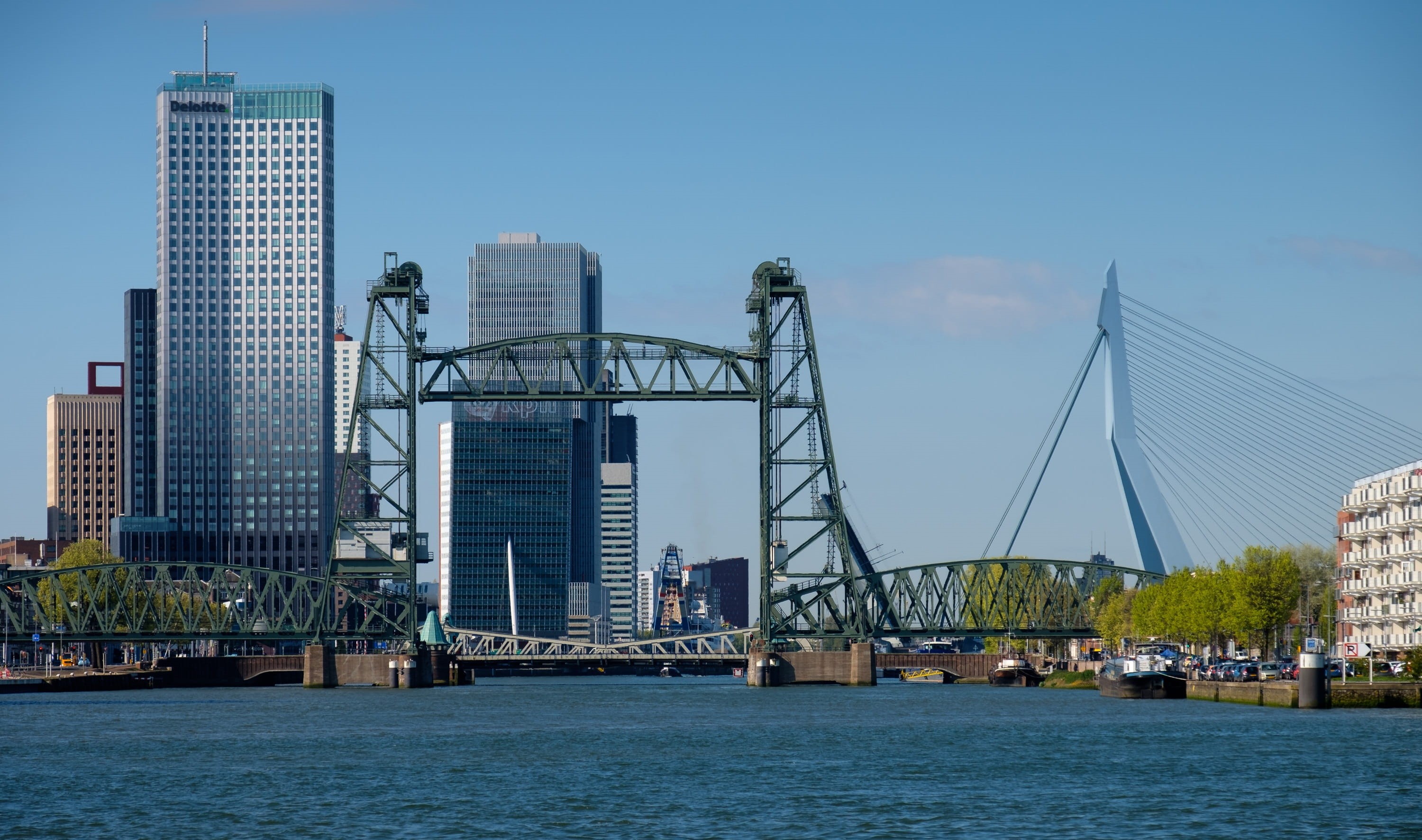 river, 2K, bridge, cityscape, skyline, maastoren, financial district, nature, sky, railway bridge, building exterior, erasmus bridge, monument, transportation, HD Wallpaper