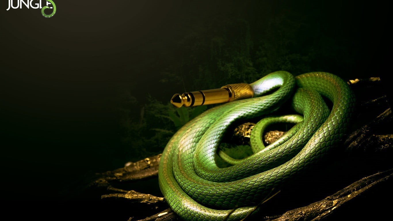 black background, close-up, humor, sign, consoles, green color, nature, indoors, 720P, no people, animal wildlife, one animal, warning sign, vertebrate, HD Wallpaper
