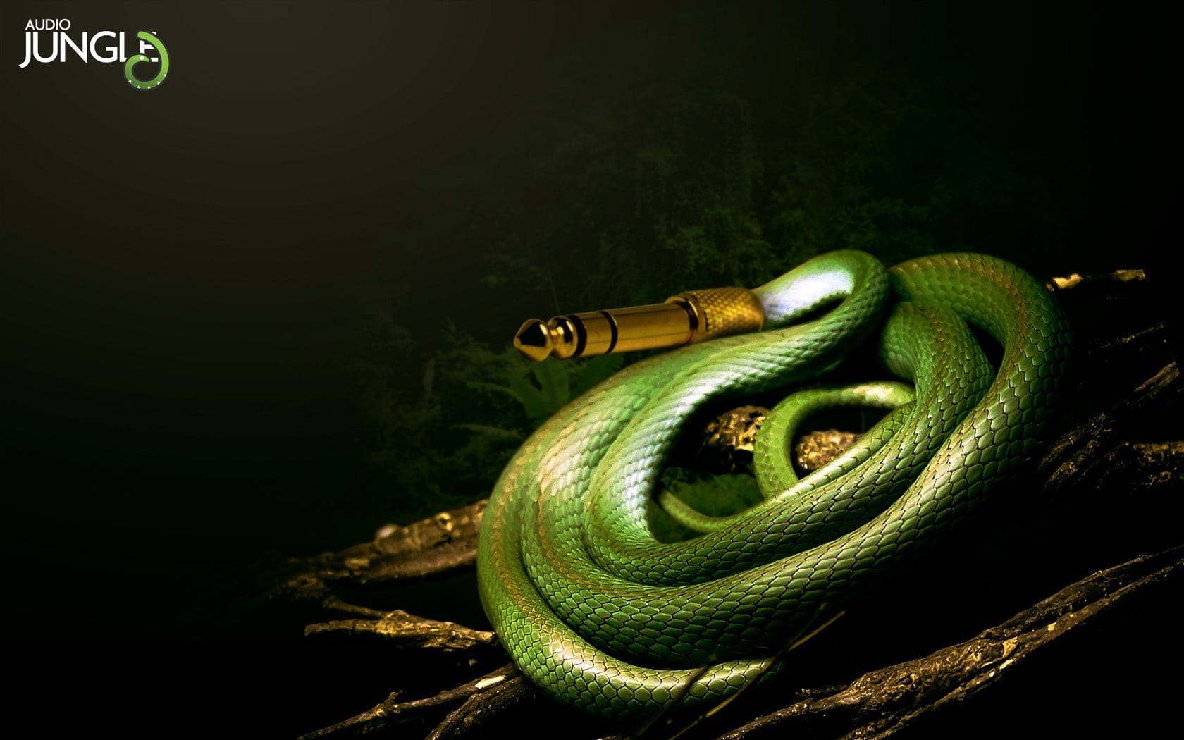 green color, sign, no people, night, 720P, black background, indoors, text, close-up, snake, connection, cable, textile, aux, still life, music, communication, HD Wallpaper