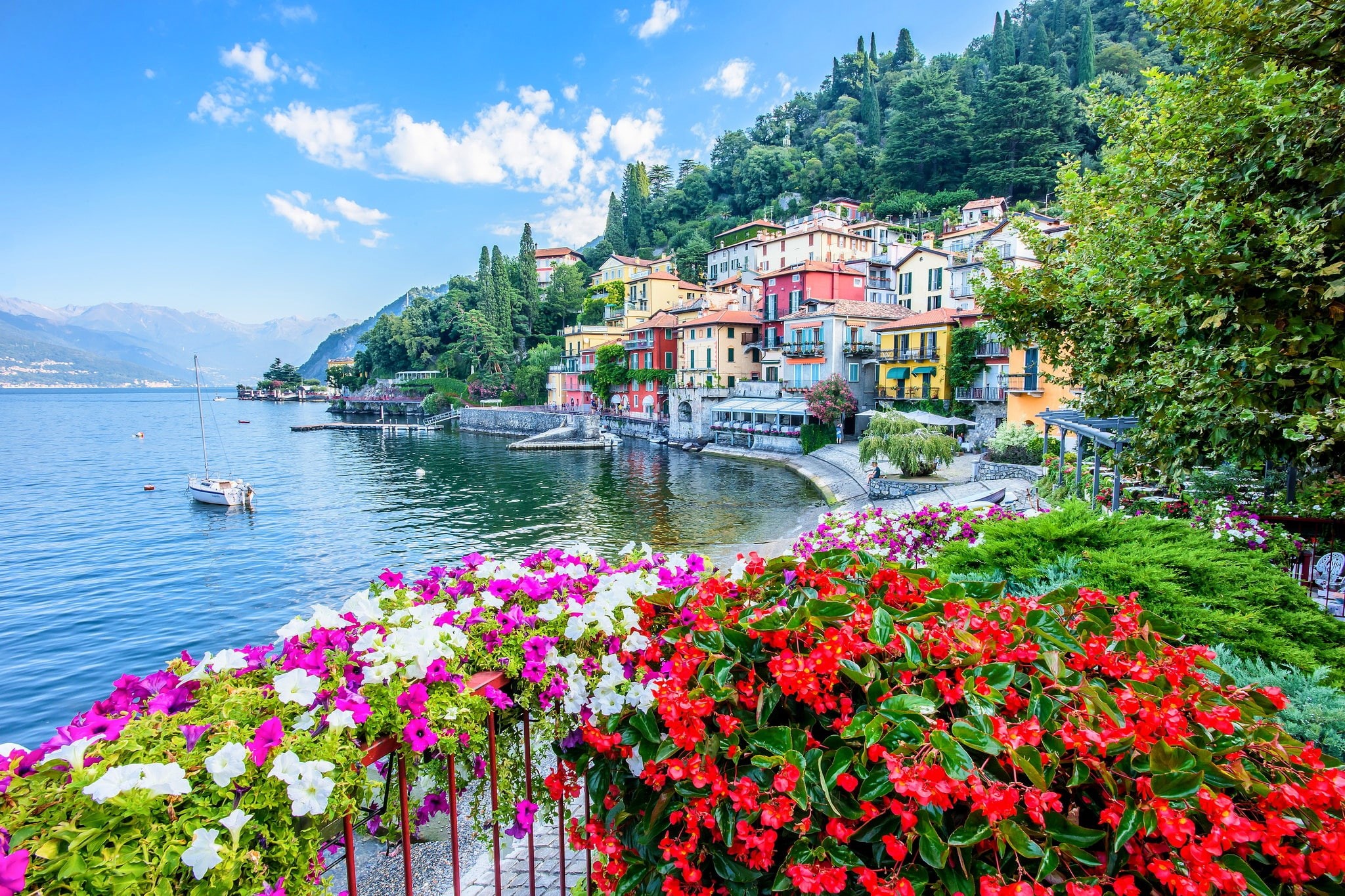 white, tree, yacht, outdoors, lake, petaled, growth, home, built structure, water, architecture, nautical vessel, flower, bed, Lombardy, mountain, beauty in nature, HD Wallpaper