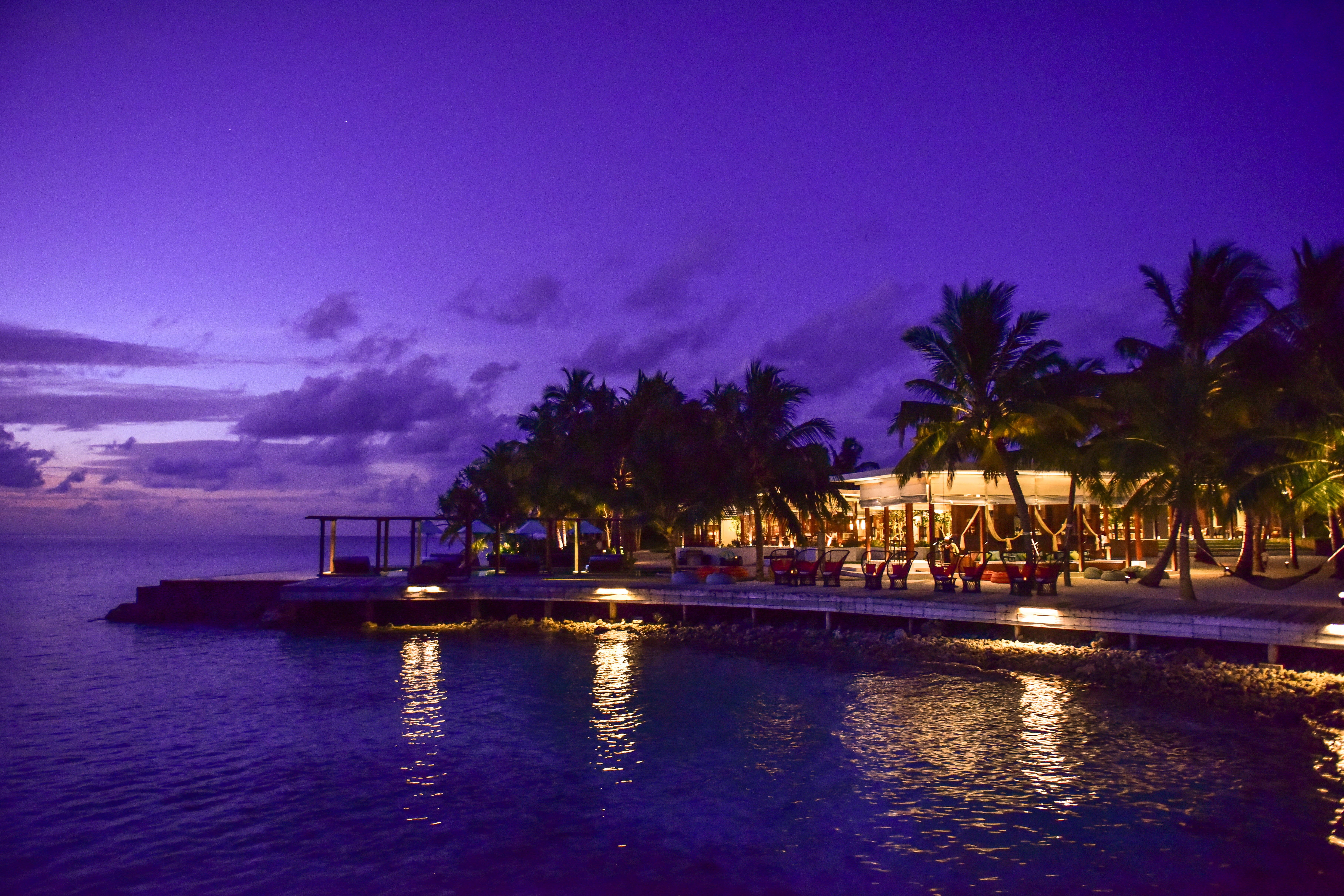 resort, waterfront, tree, tranquil scene, tranquility, paradise, palm tree, beach, sky, lights, purple, scenic, architecture, nighttime, seaside, water, HD Wallpaper