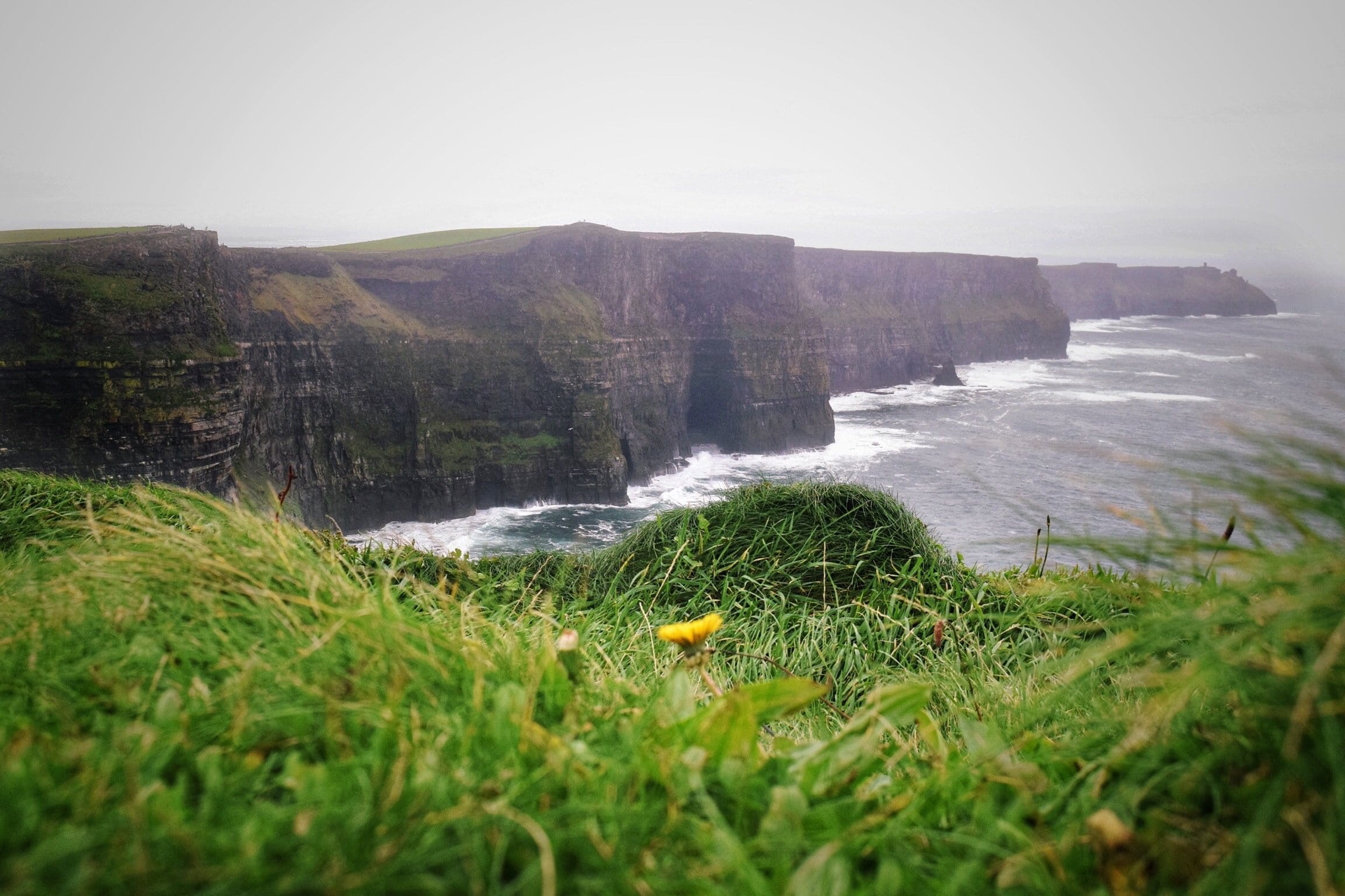 land, oceanside, St. Patricks day, scenics - nature, power in nature, nature, 1080P, cliffs, cliff, no people, outdoors, sea, Rocks, long exposure, Grass, HD Wallpaper