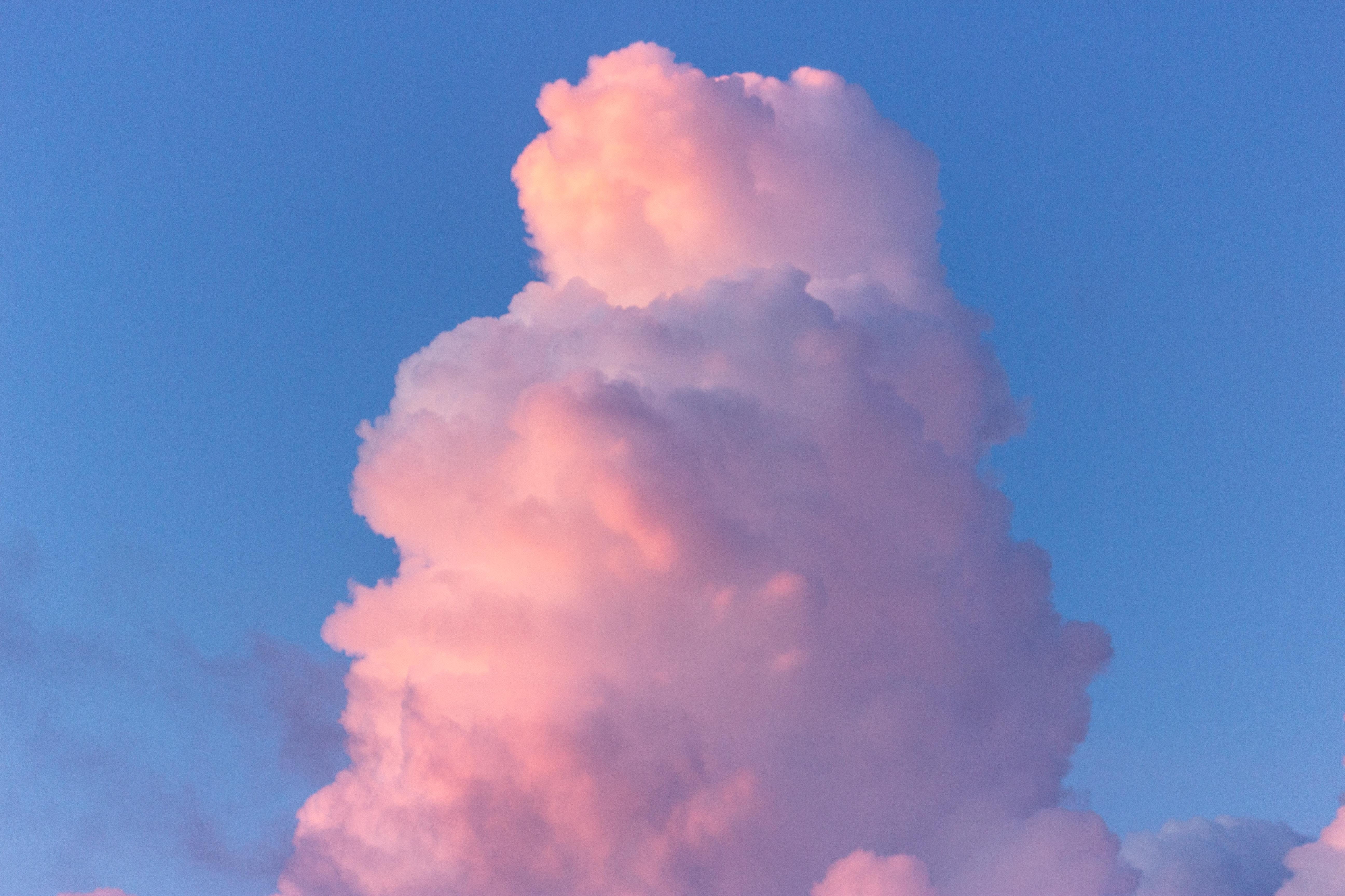 vegetation, plant, 5K, nature, low angle view, softness, fluffy, day, clouds, idyllic, sun, beauty in nature, united states, no people, sunlight, building, HD Wallpaper