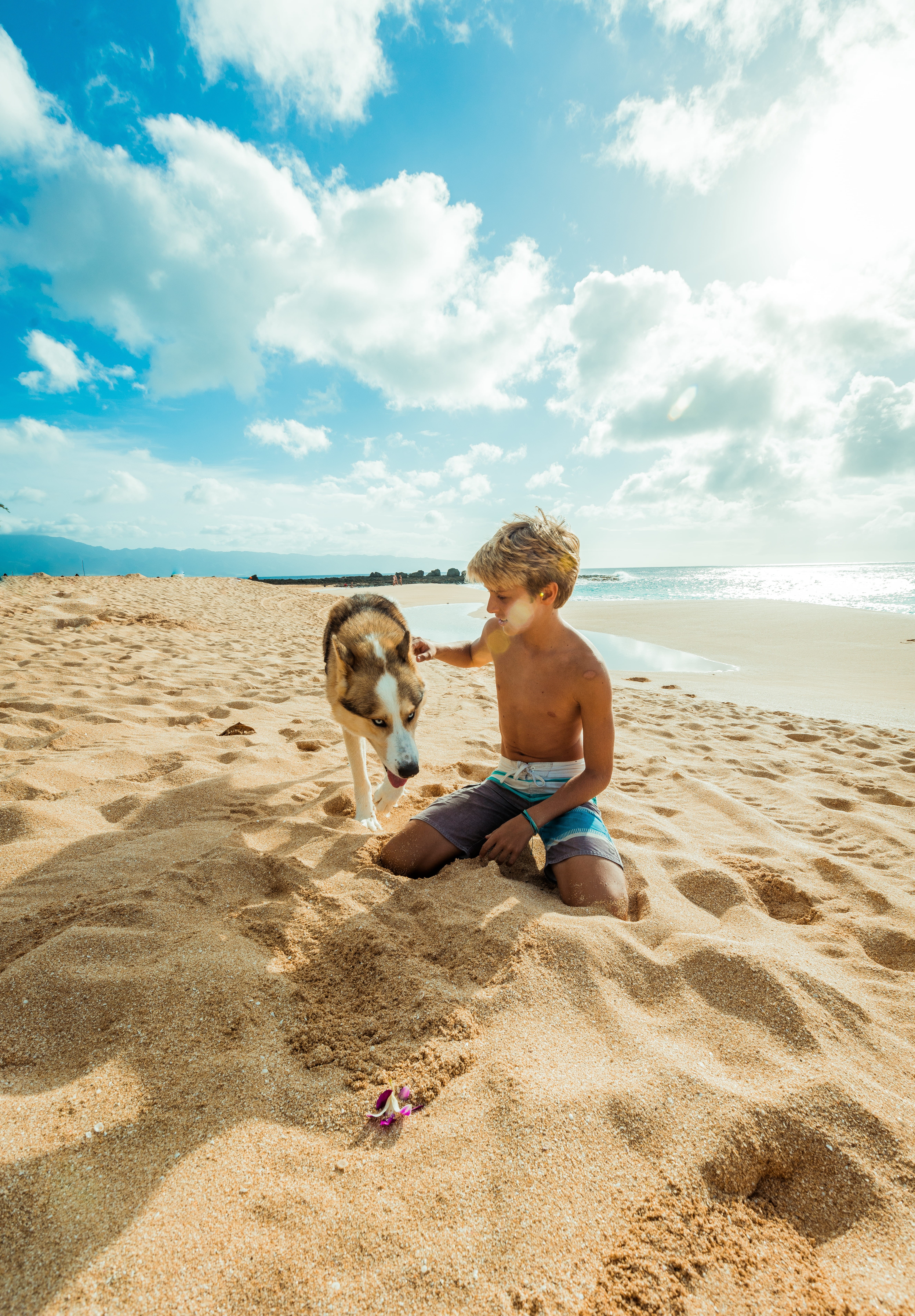 pets, one person, seaside, animal, seating, oceanside, brown, mammal, kid, one animal, full length, horizon over water, animal themes, canidae, real people, Phone HD Wallpaper