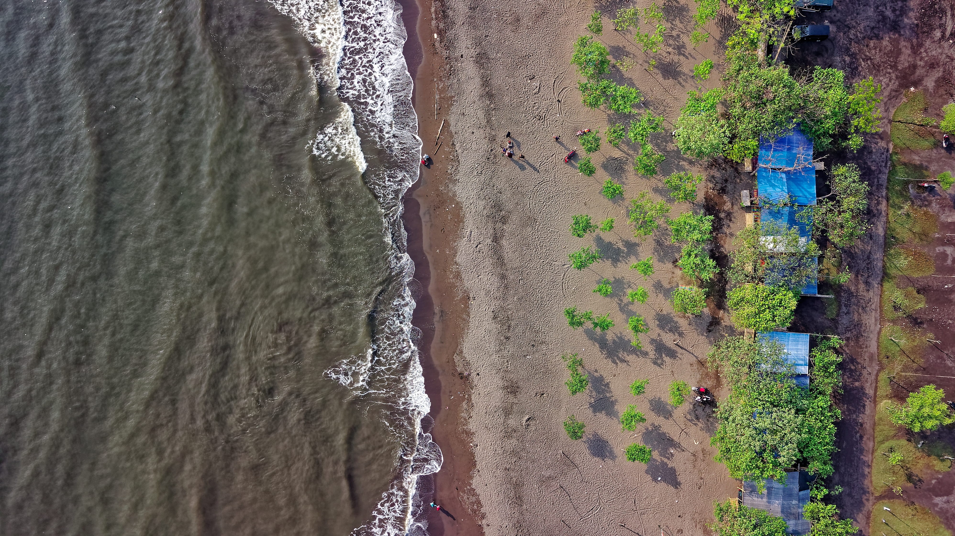 bird, photography, beach, scenics - nature, oceanside, water, seaside, shore, birds eye view, nature, oceanshore, outdoors, beauty in nature, mockup, directly above, HD Wallpaper