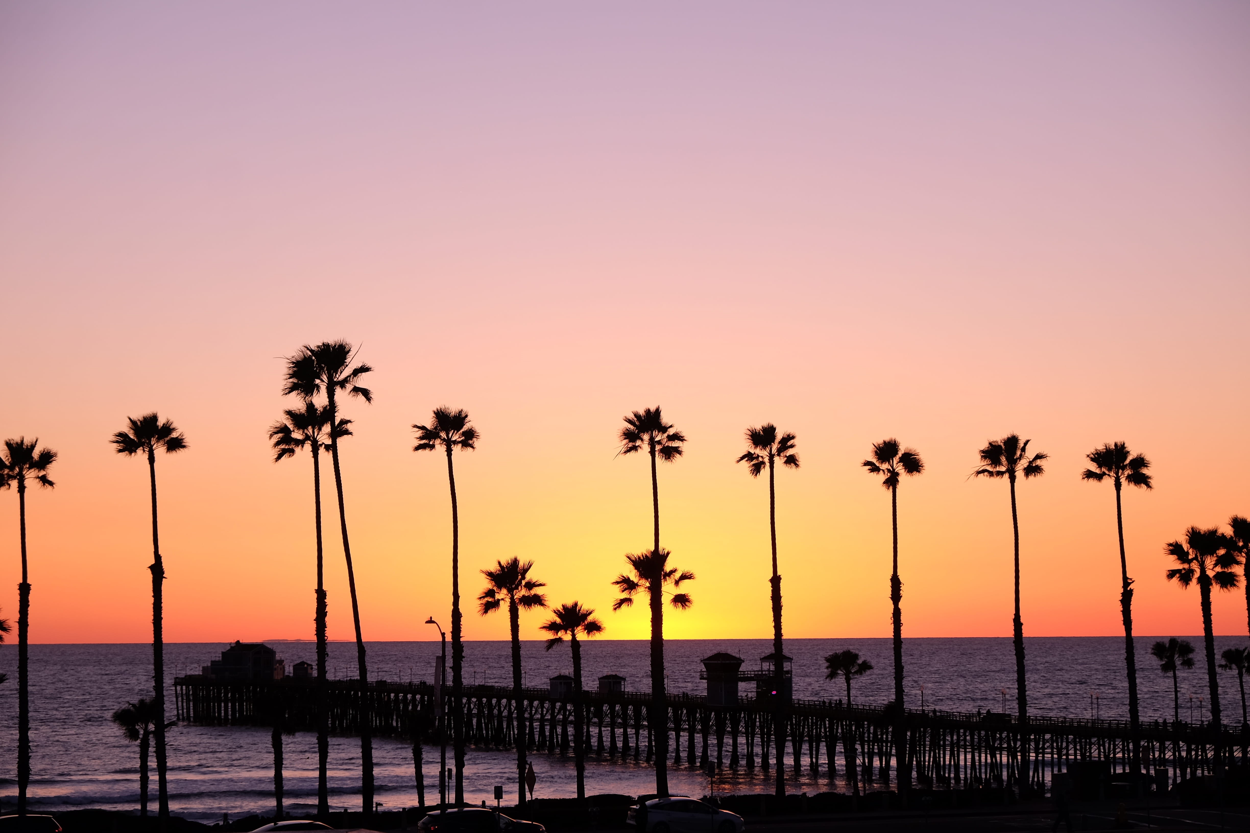 horizon over water, trees, tropical, sunrise, dock, united states, tranquil scene, sunset, oceanside, 4K, tranquility, horizon, oceanside pier, red sky, HD Wallpaper