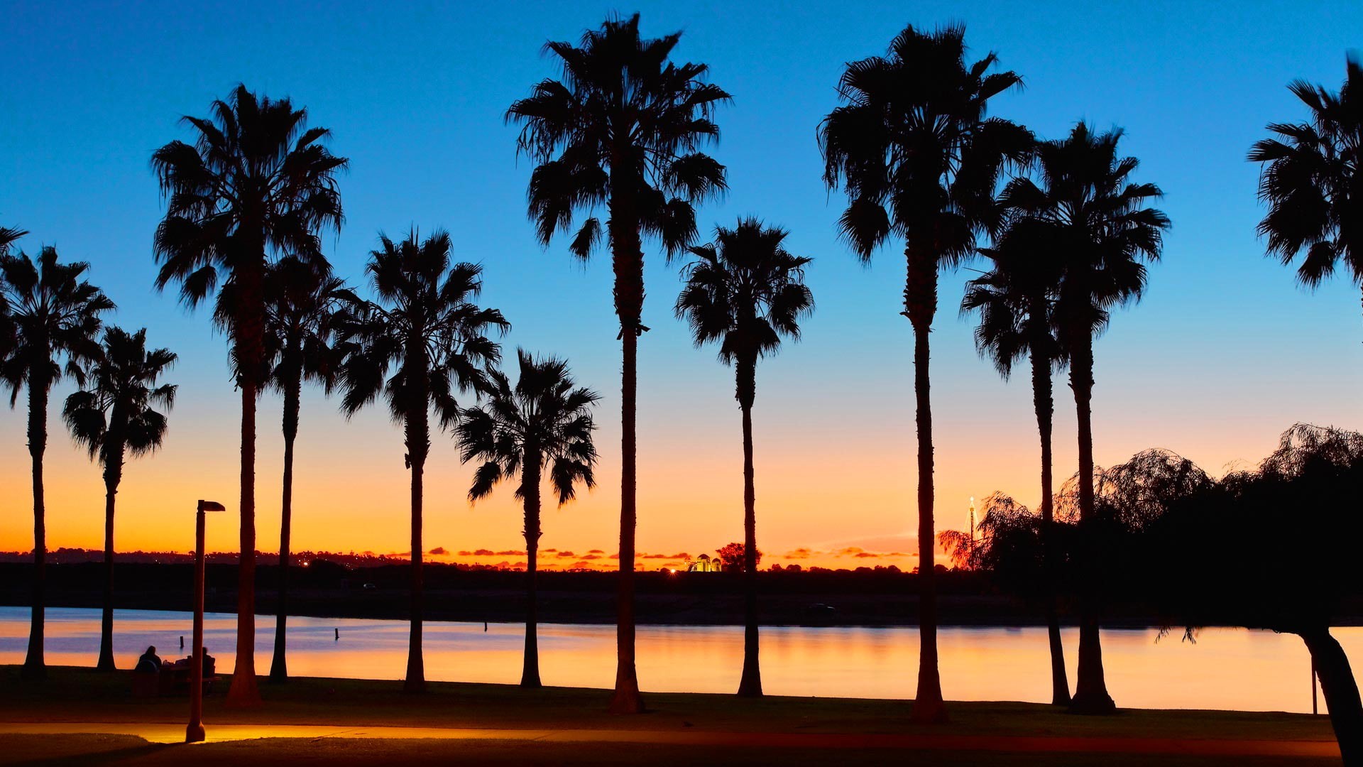 USA, 1080P, Mission Bay, San Diego, CA, palm trees, sunset, HD Wallpaper