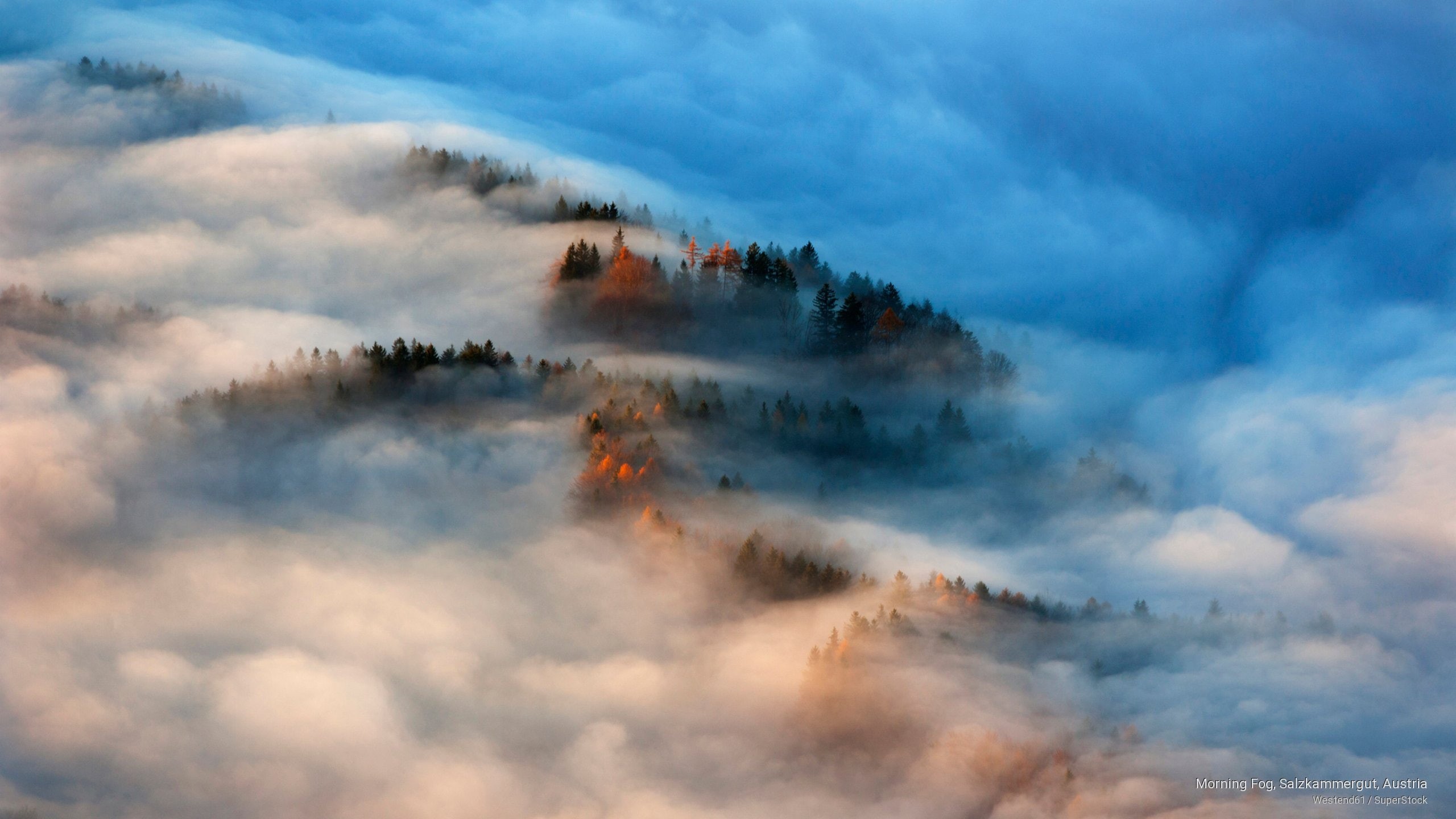 morning, fog, Europe, austria, salzkammergut, 2K, HD Wallpaper